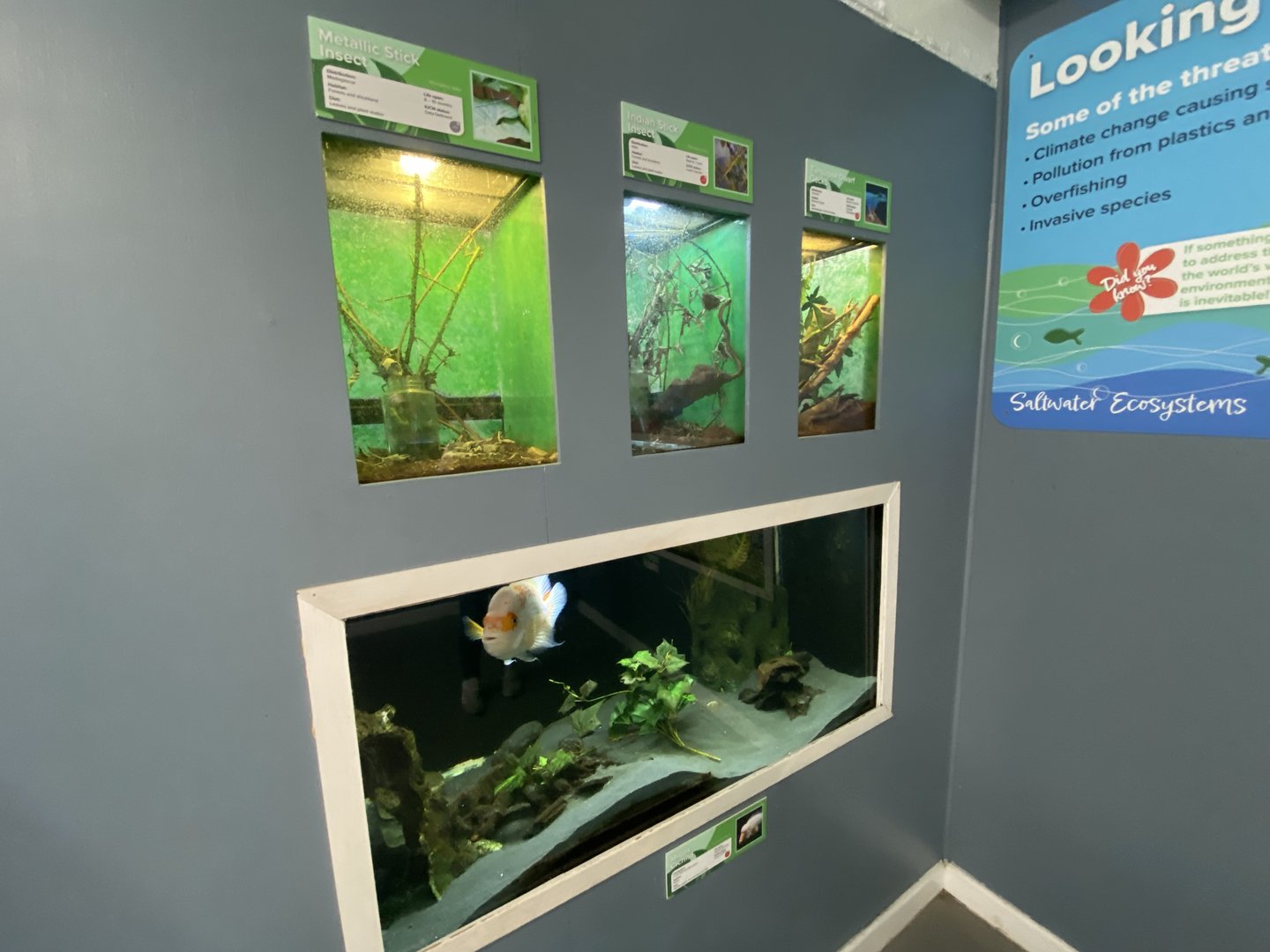 Aquarium exhibits 231022