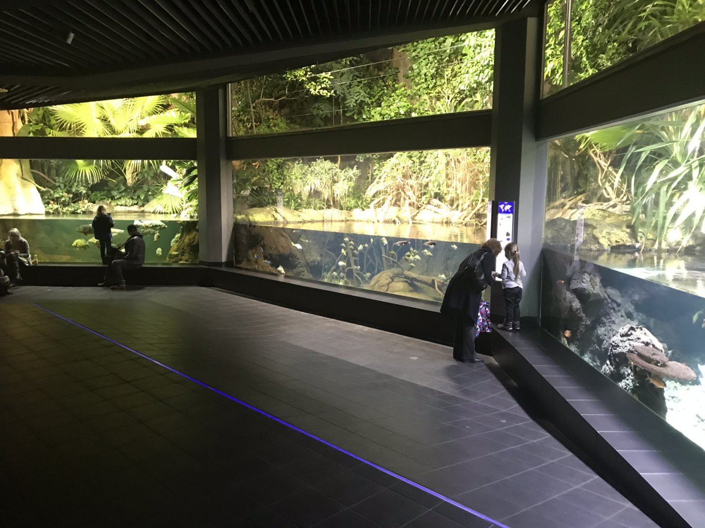 Aquarium exhibits 270118