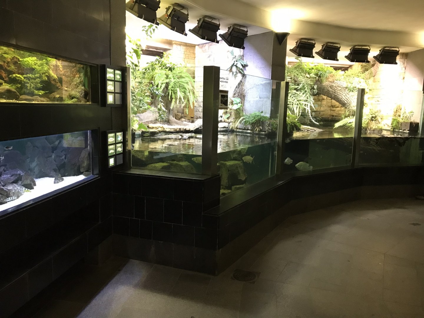 Aquarium exhibits 280118