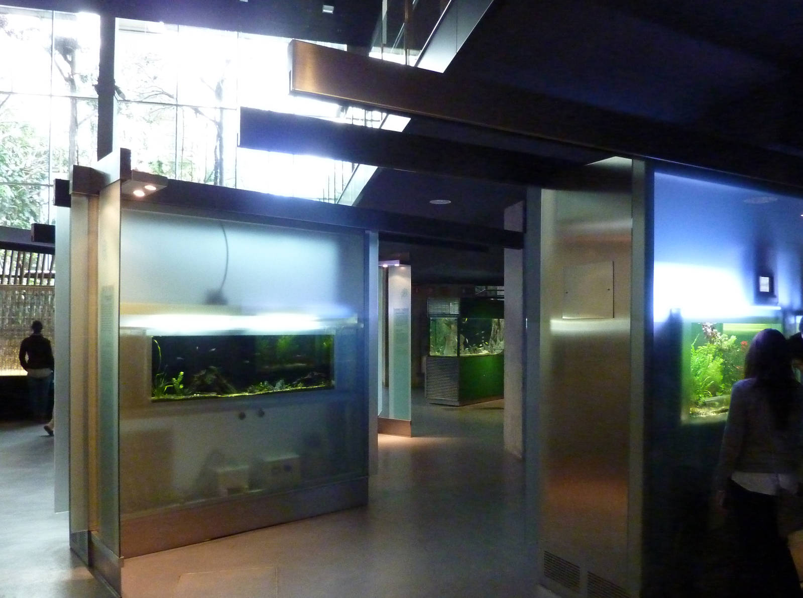 Aquarium exhibits, 7th April 2012.