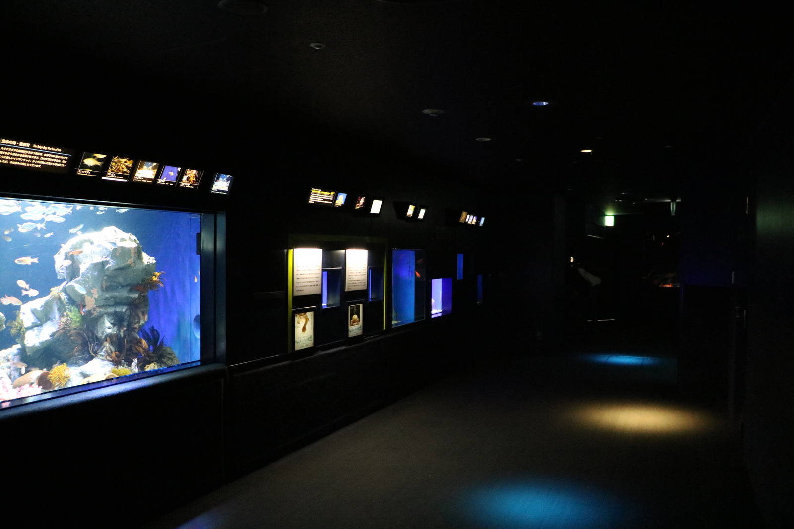Aquarium exhibits - Sunshine Aquarium Tokyo, February 2016