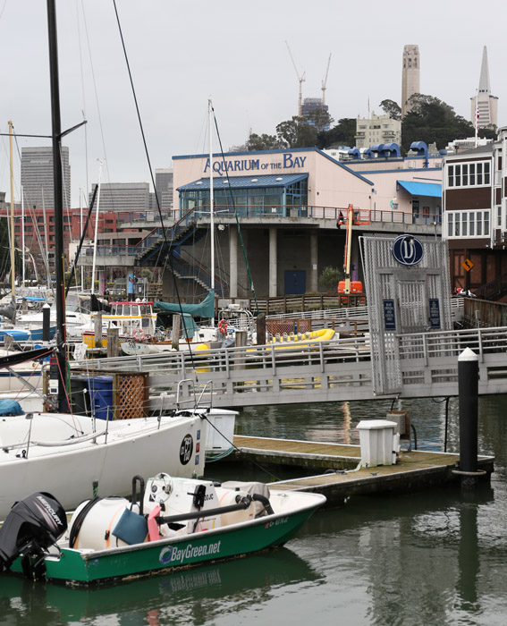 Aquarium exterior - back side