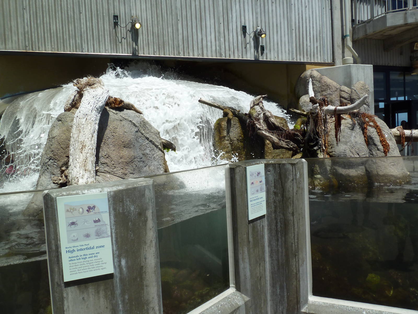 Aquarium Exterior - Crashing Waves Exhibit