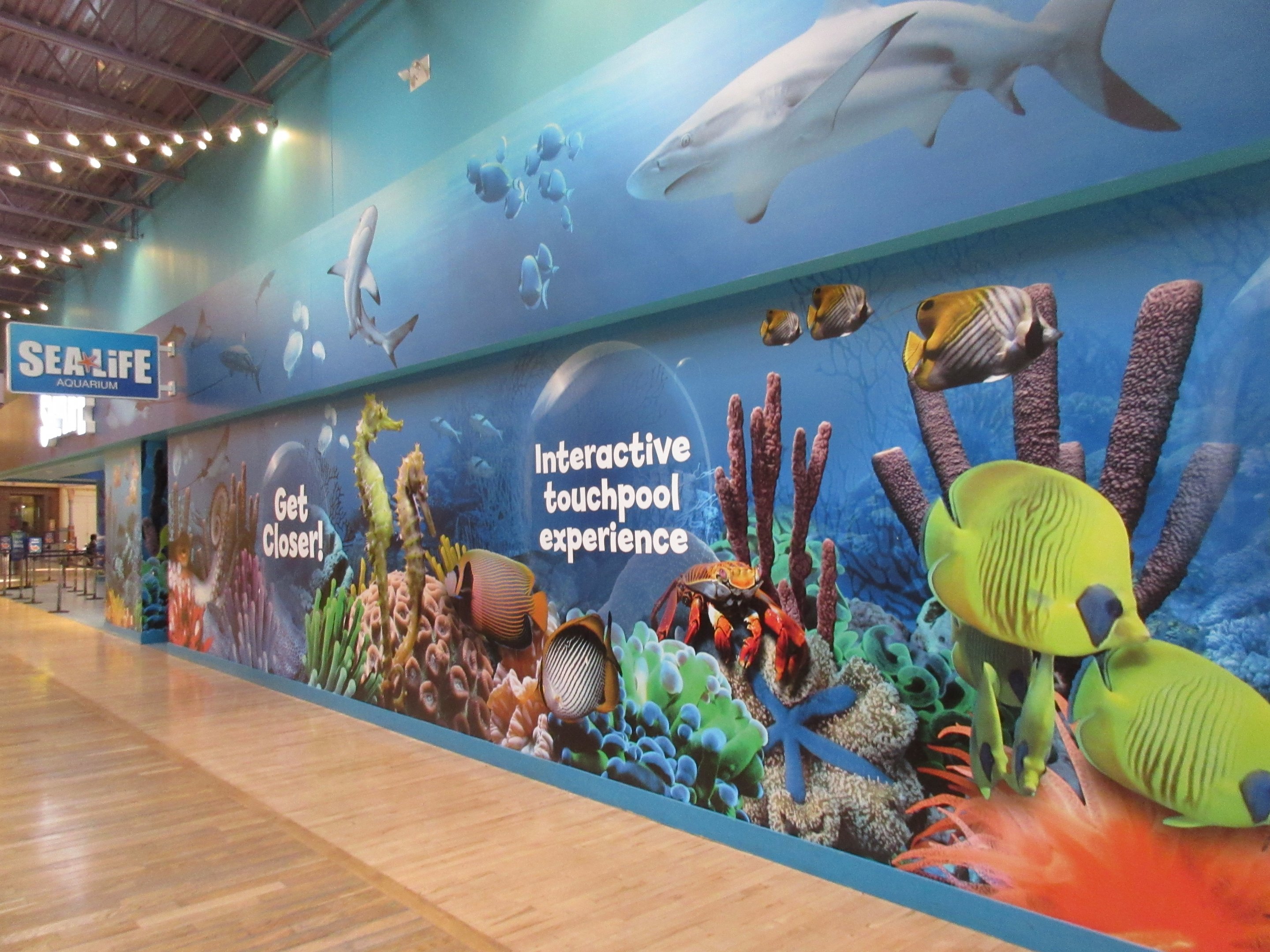 Aquarium Exterior (inside shopping mall)