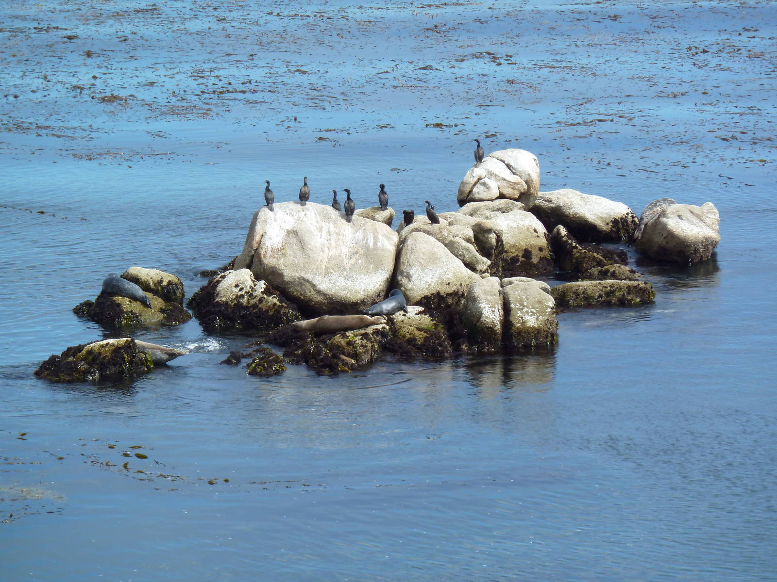 Aquarium Exterior - Pacific Ocean