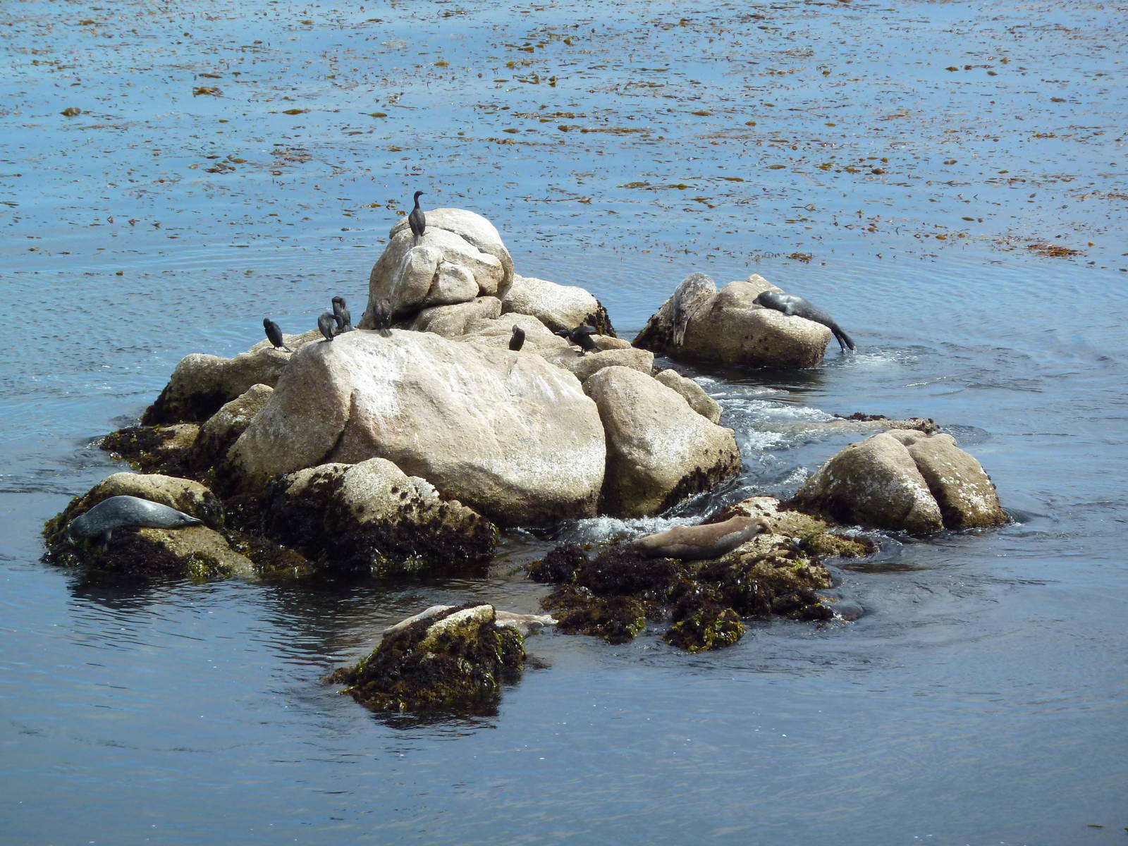 Aquarium Exterior - Pacific Ocean