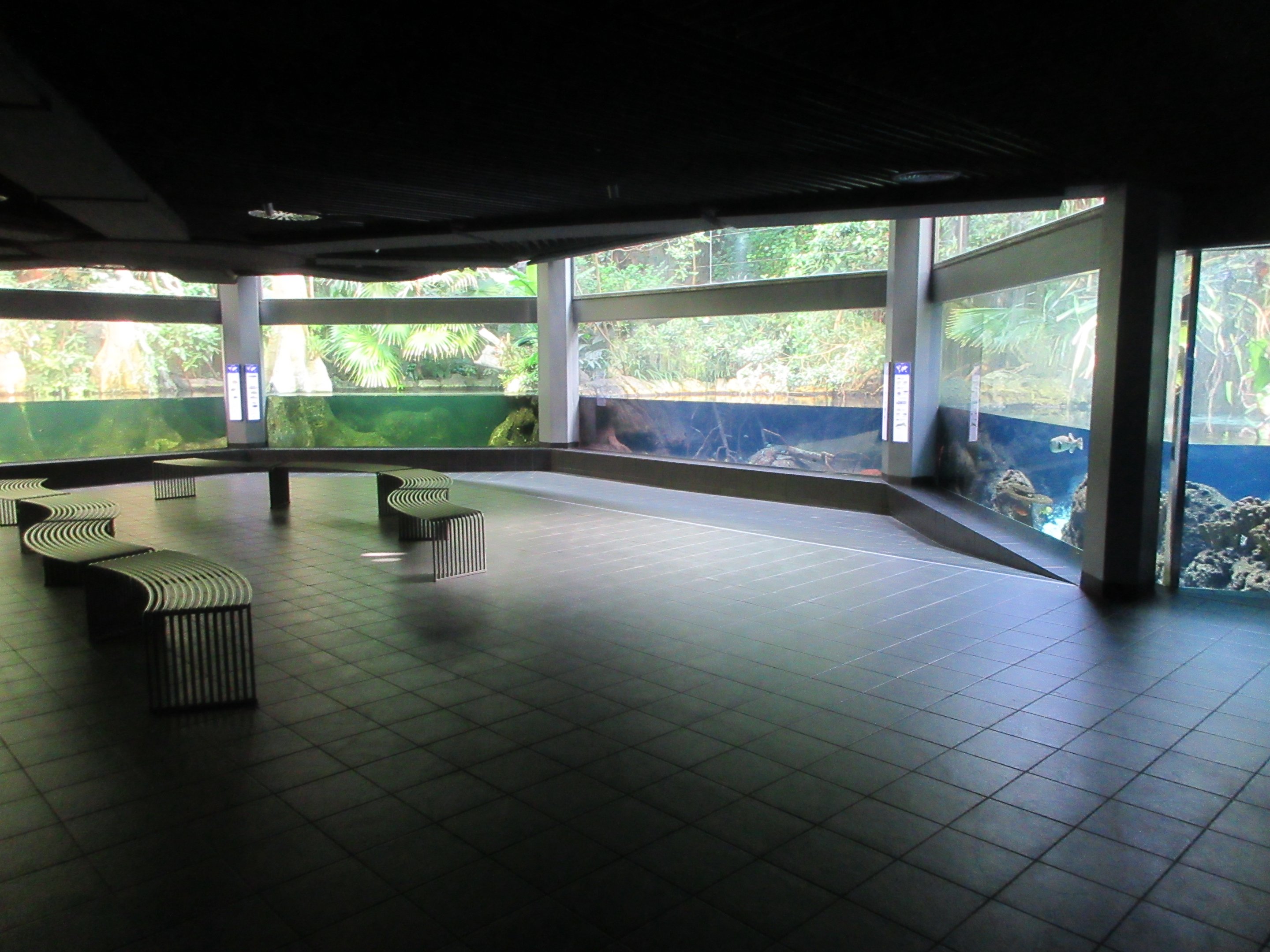 Aquarium - First Floor