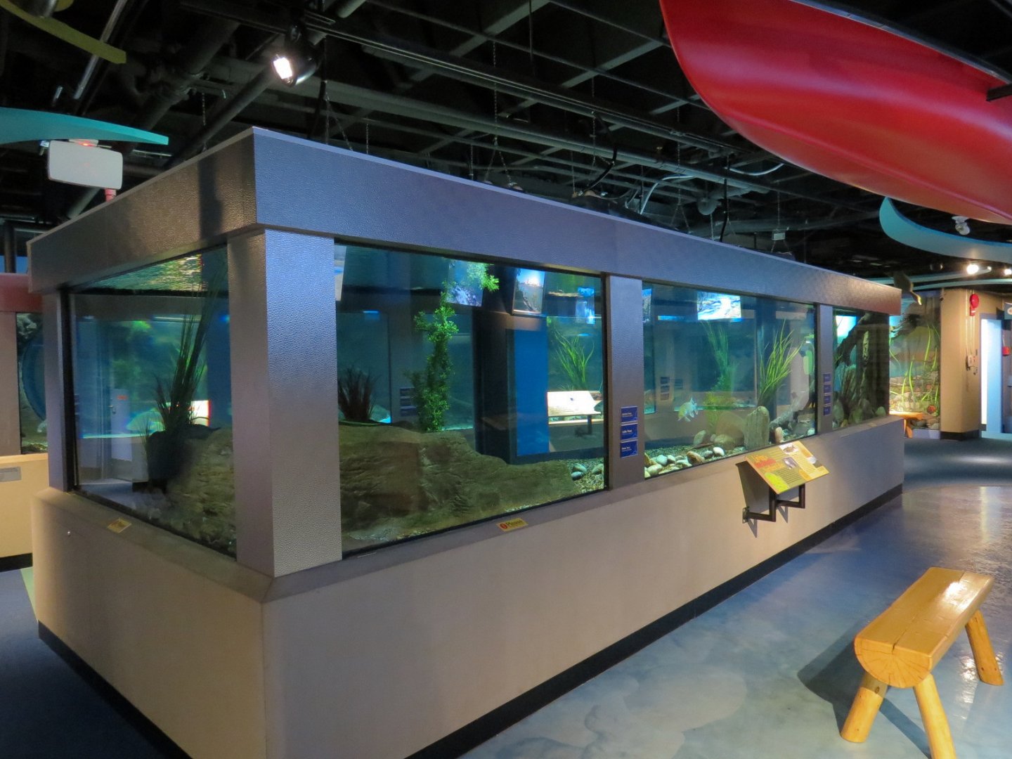 Aquarium - First Pedestal Tank