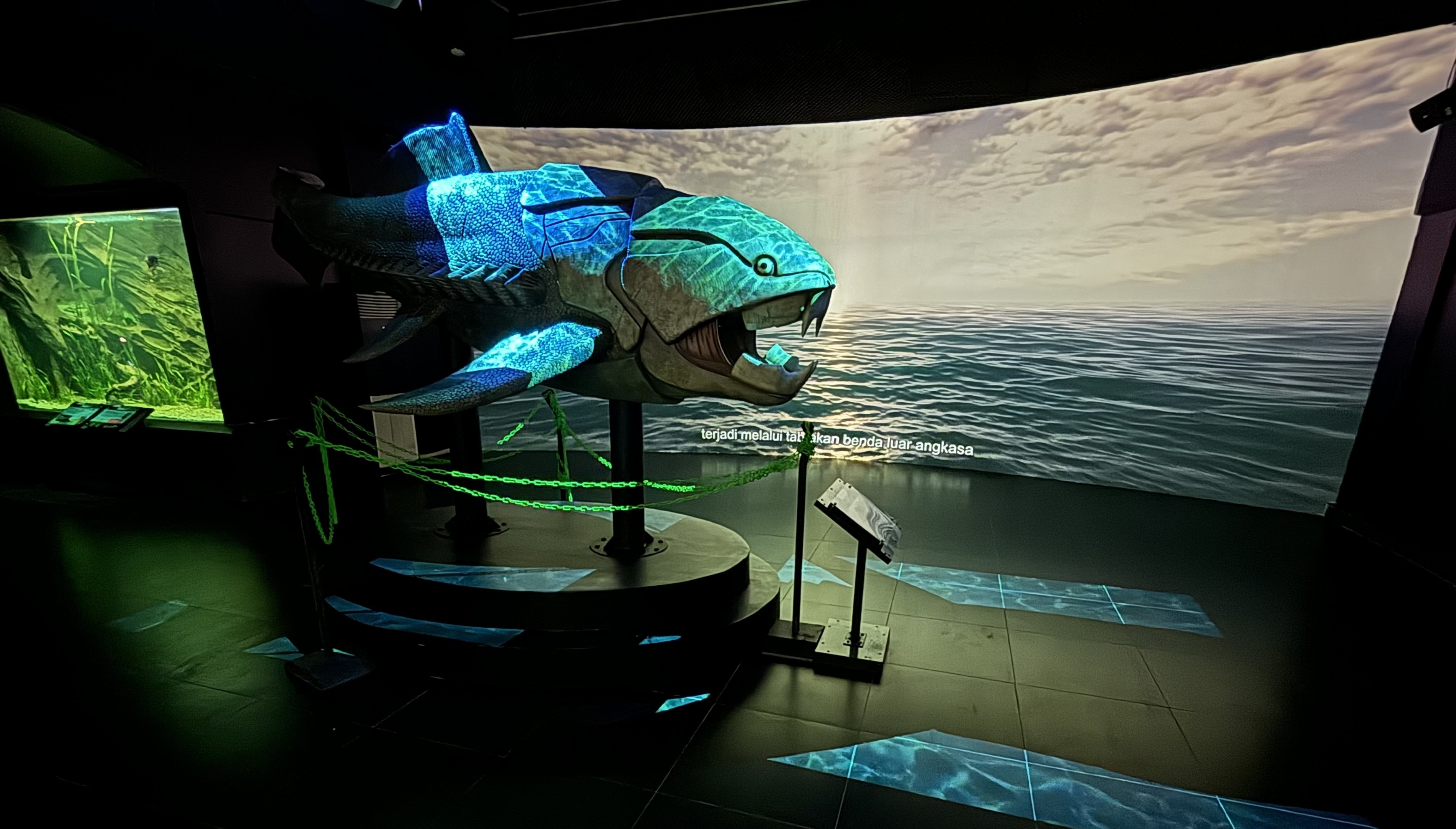 Aquarium - first room