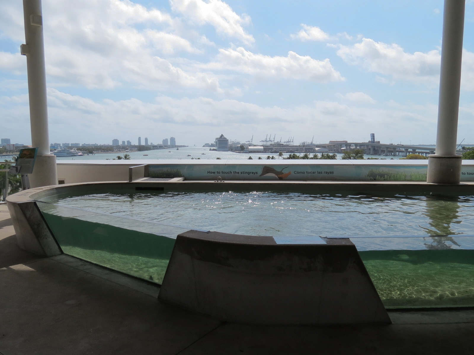 Aquarium - Florida Bay Exhibit - Bat Ray Touchtank