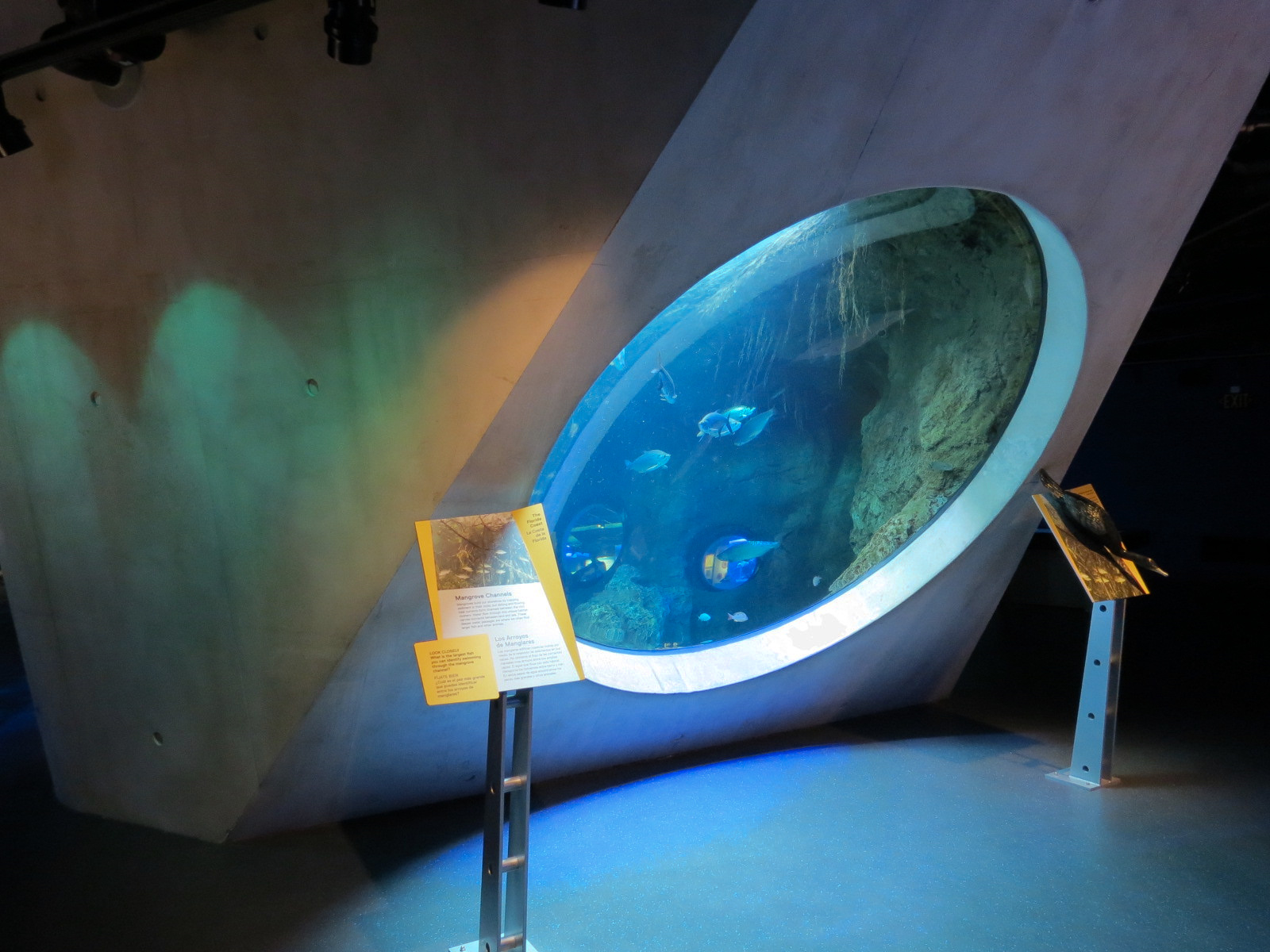 Aquarium - Florida Coast Exhibit - The Dive Level