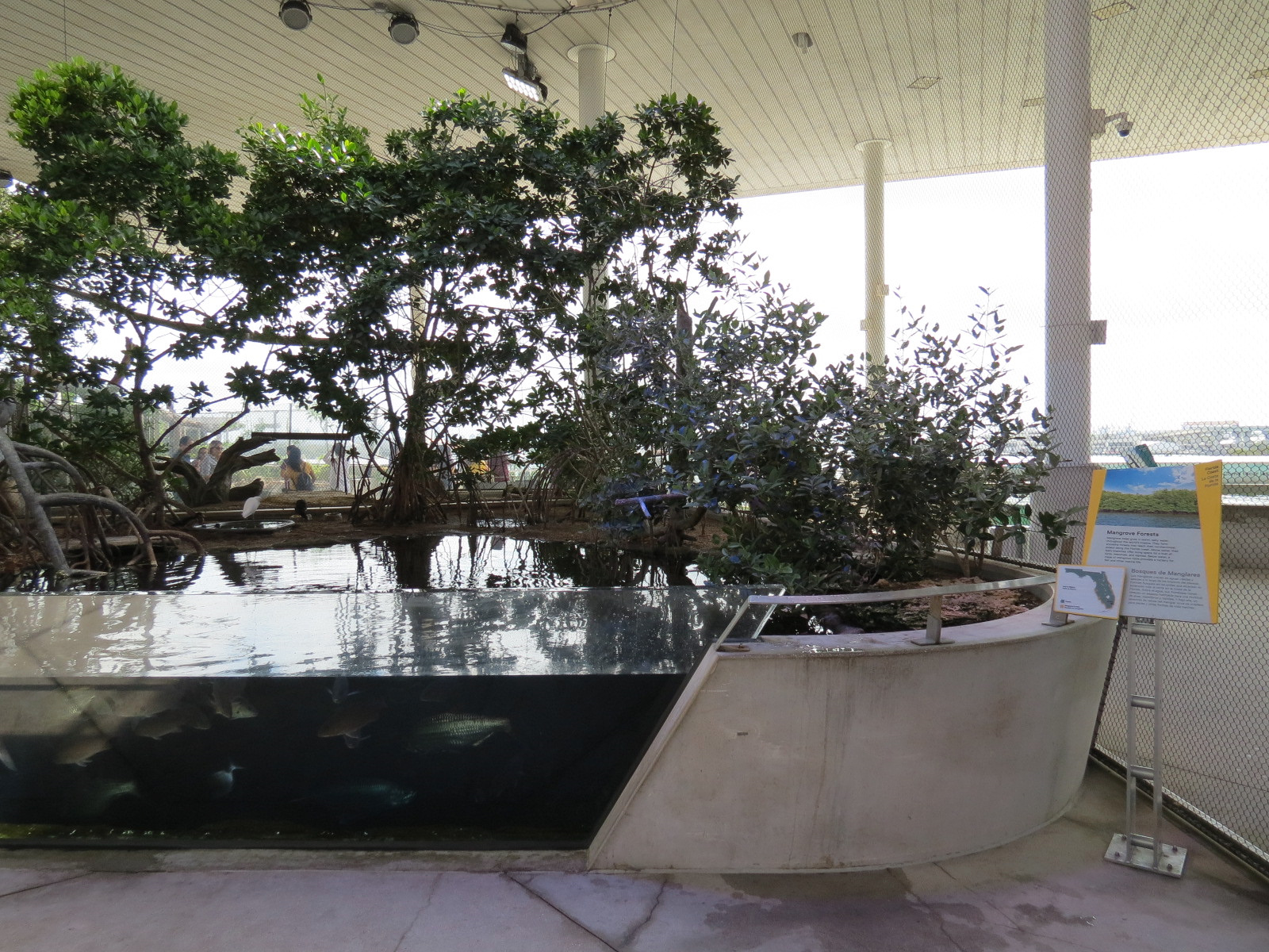 Aquarium - Florida Coast Exhibit - The Vista Level