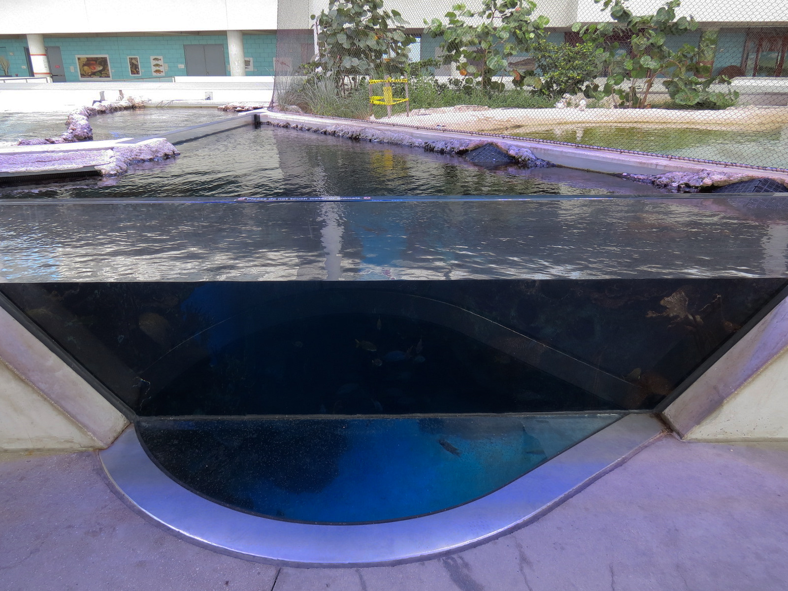Aquarium - Florida Reef Exhibit - The Vista Level