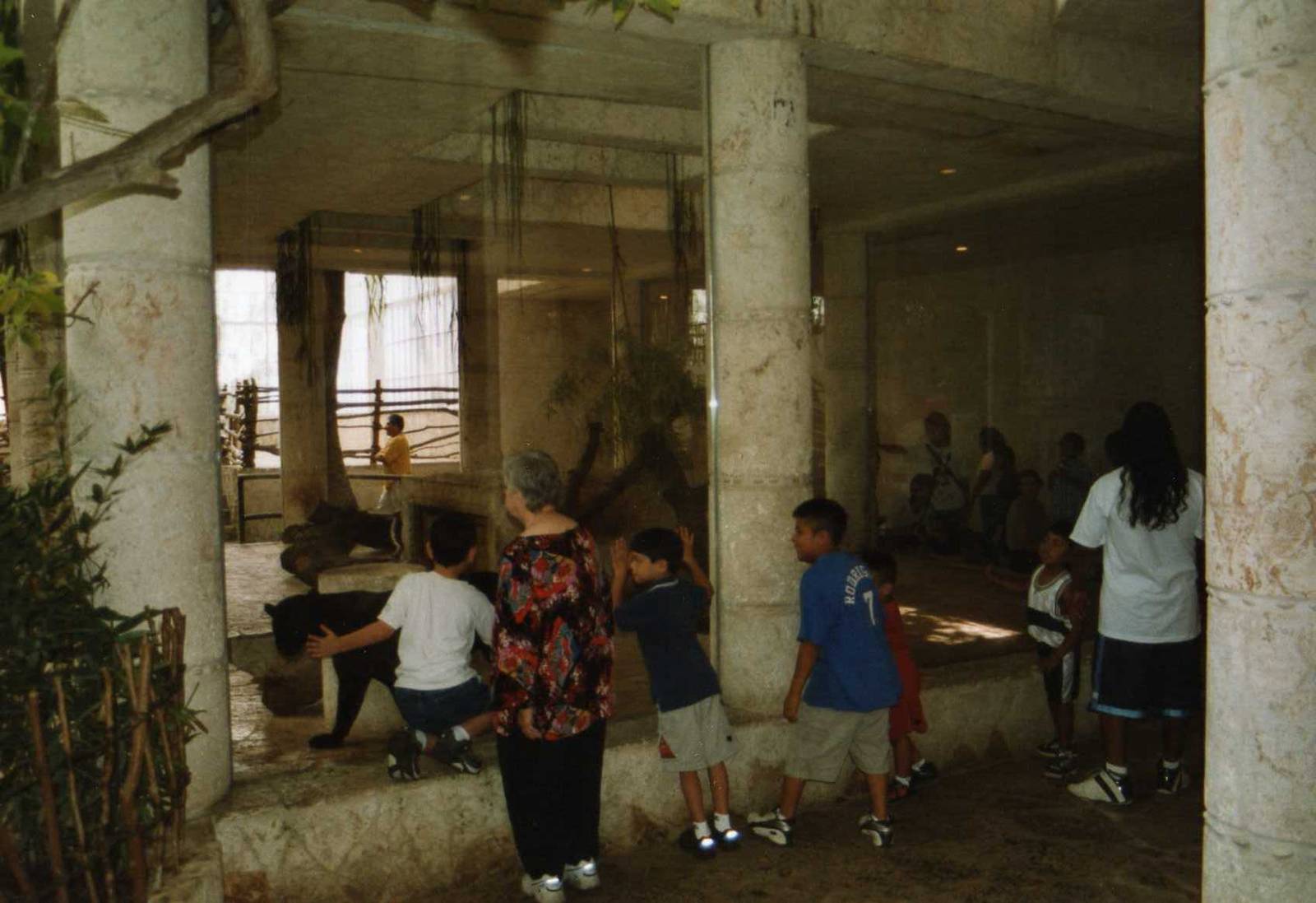 Aquarium for the Jaguar