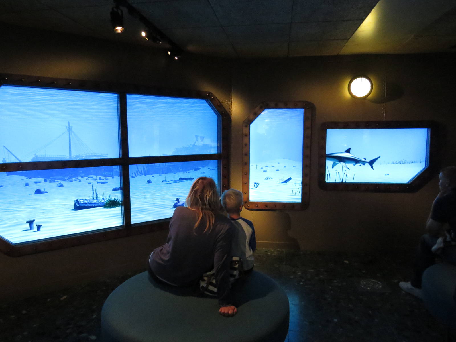 Aquarium foyer, June 2015