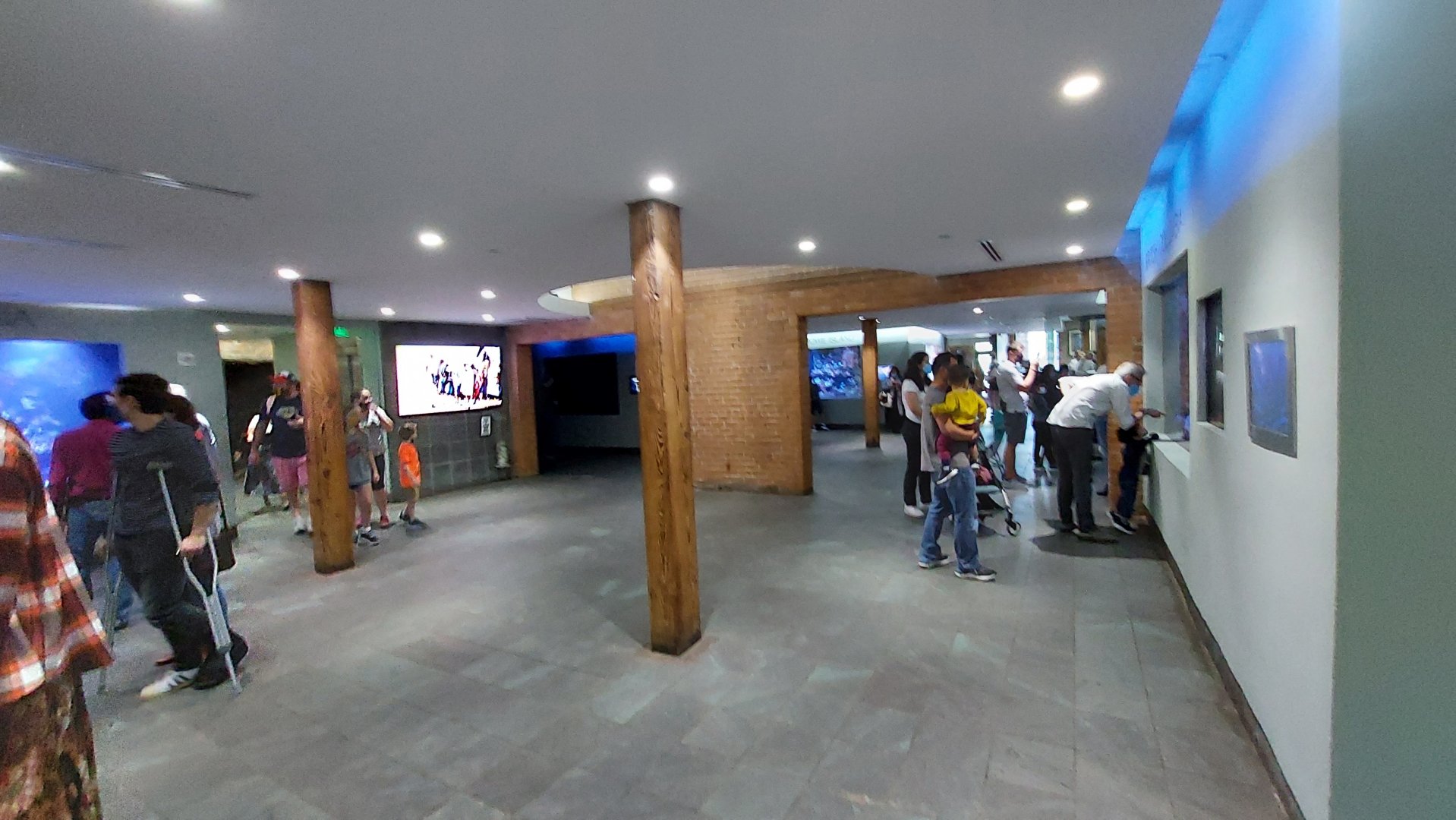 Aquarium Gallery Overview