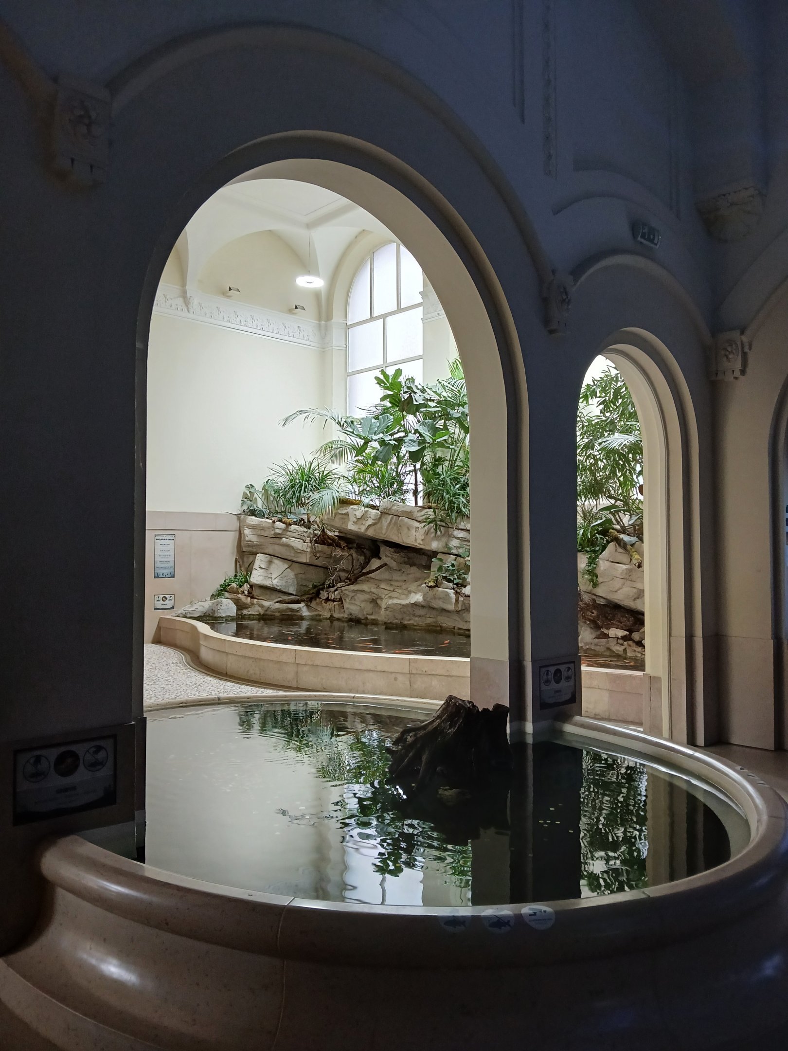 Aquarium general view (30th September 2025)