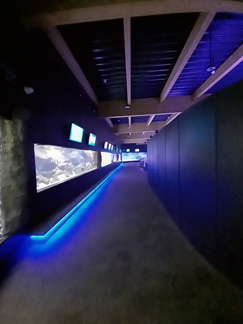 Aquarium - General view