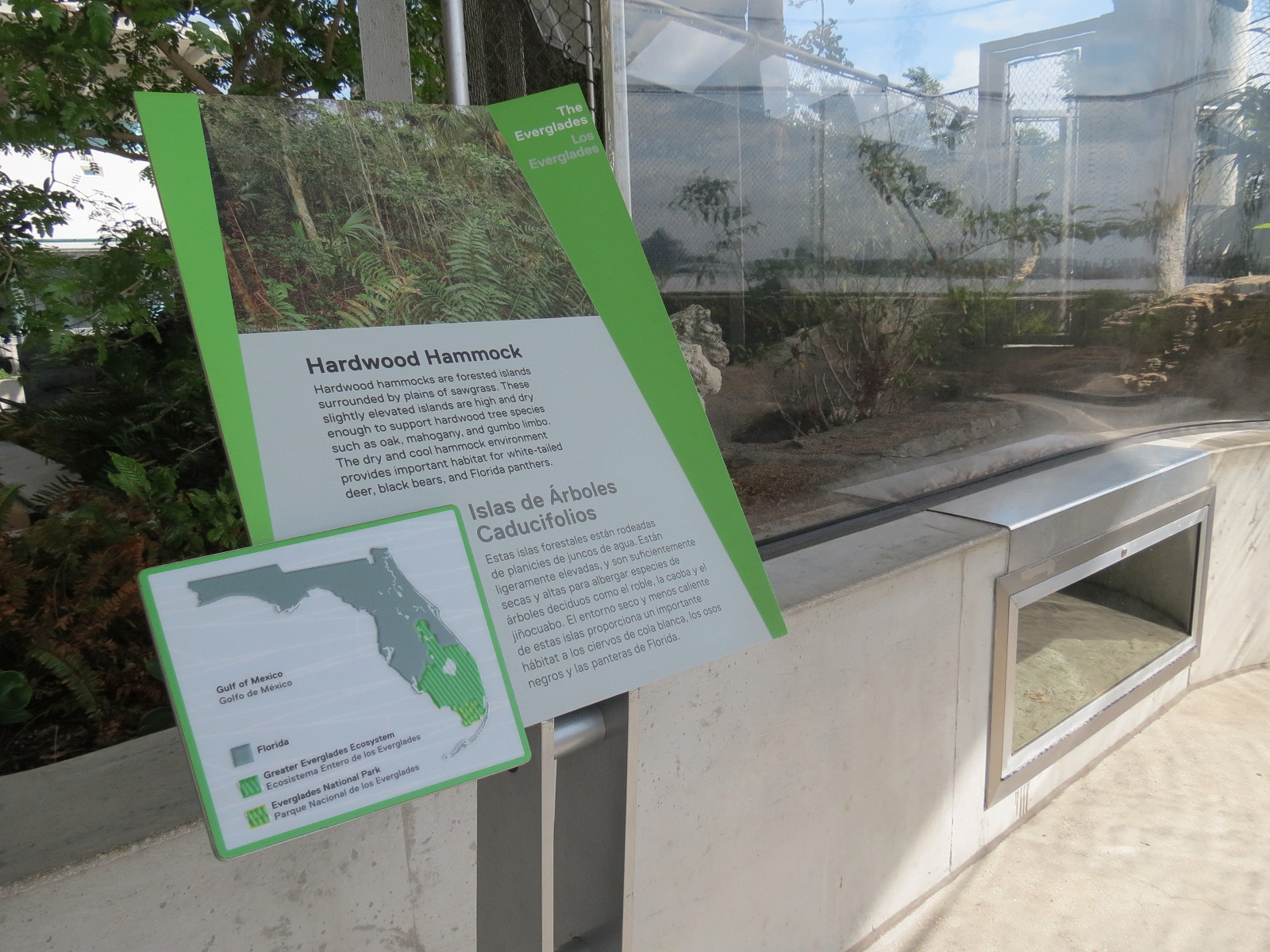 Aquarium - Gopher Tortoise Exhibit