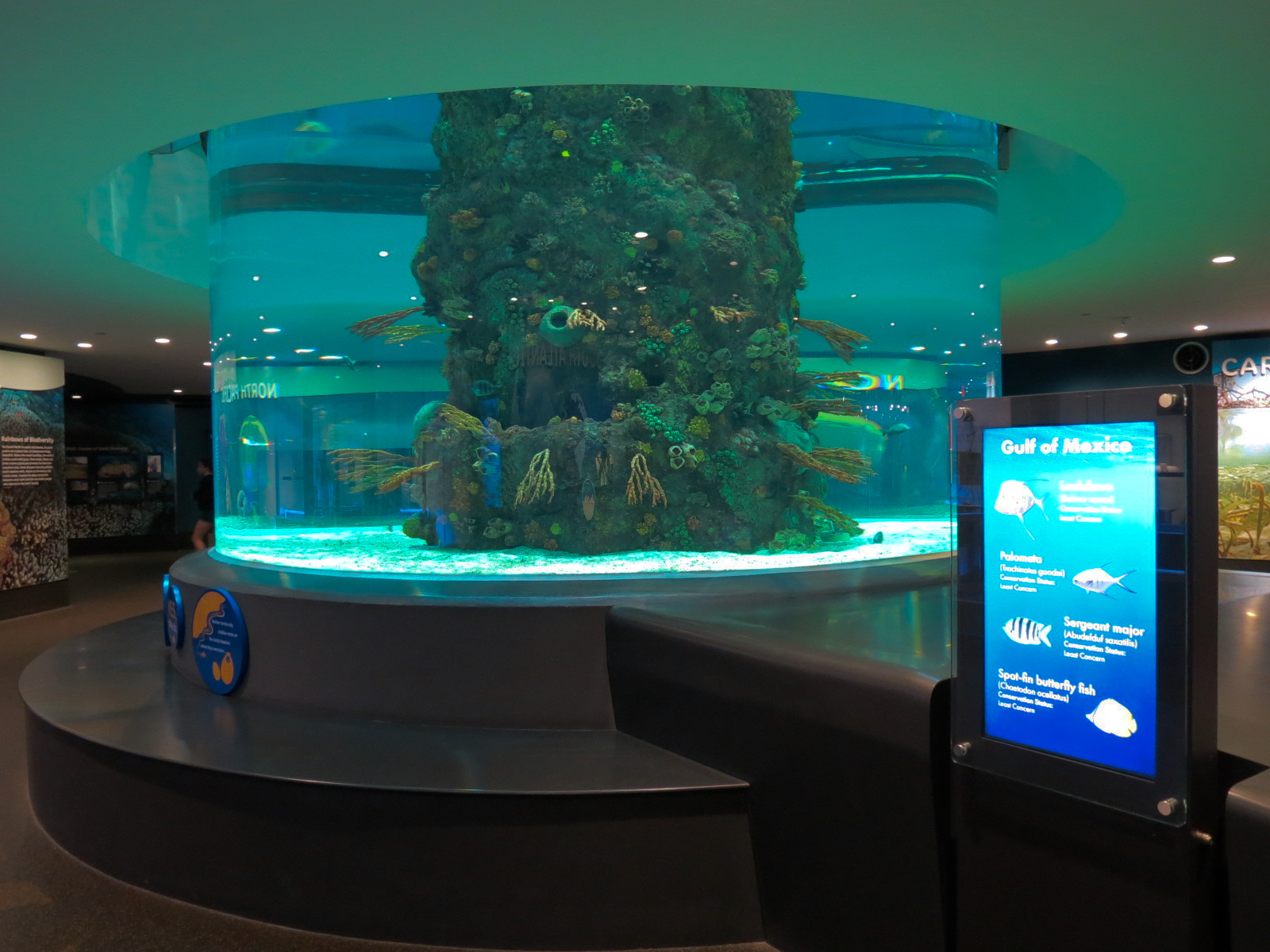 Aquarium - Gulf of Mexico Exhibit - Lower Level