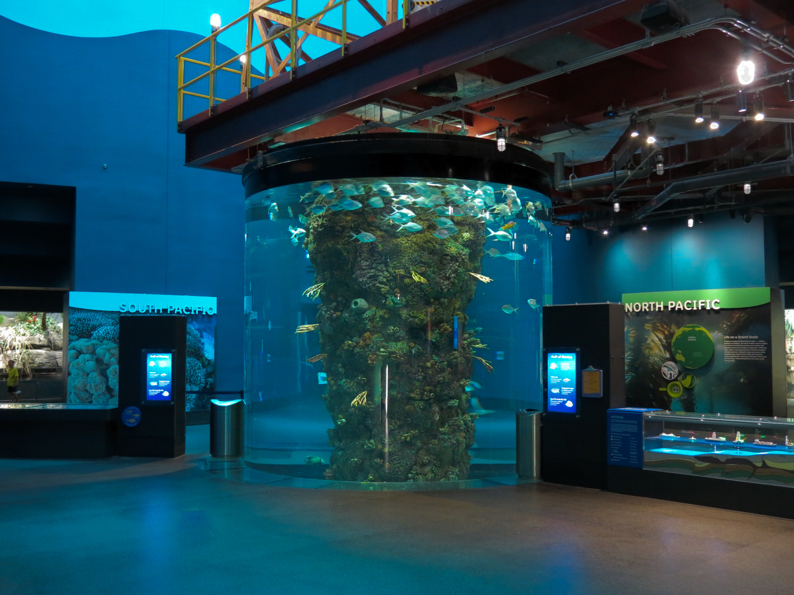 Aquarium - Gulf of Mexico Exhibit - Upper Level