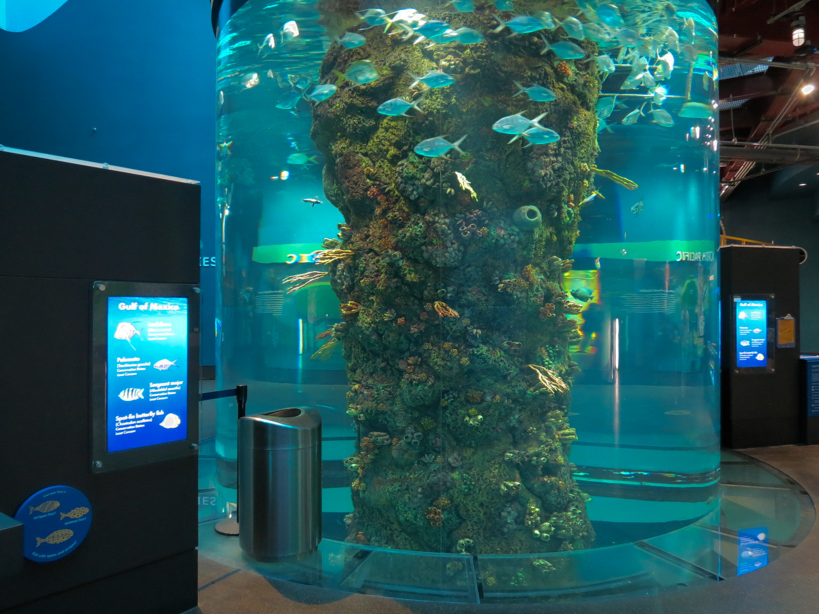 Aquarium - Gulf of Mexico Exhibit - Upper Level