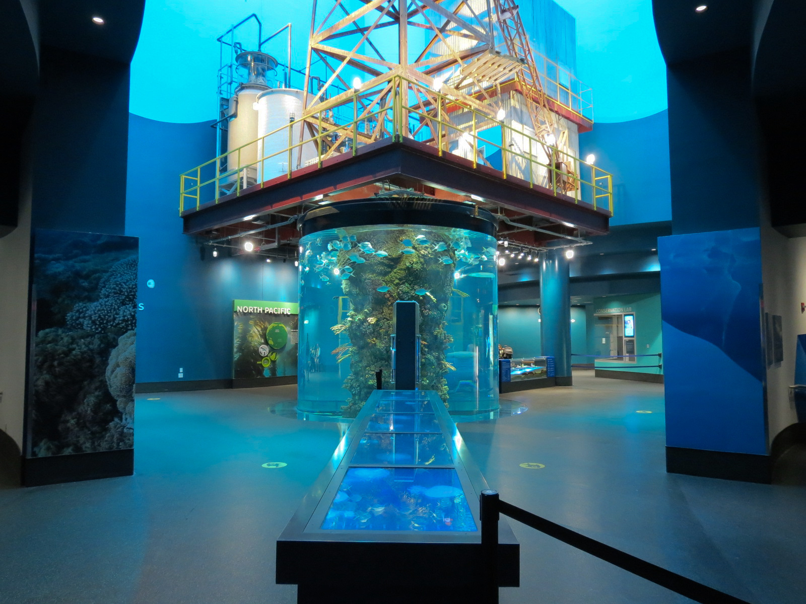 Aquarium - Gulf of Mexico Exhibit - Upper Level