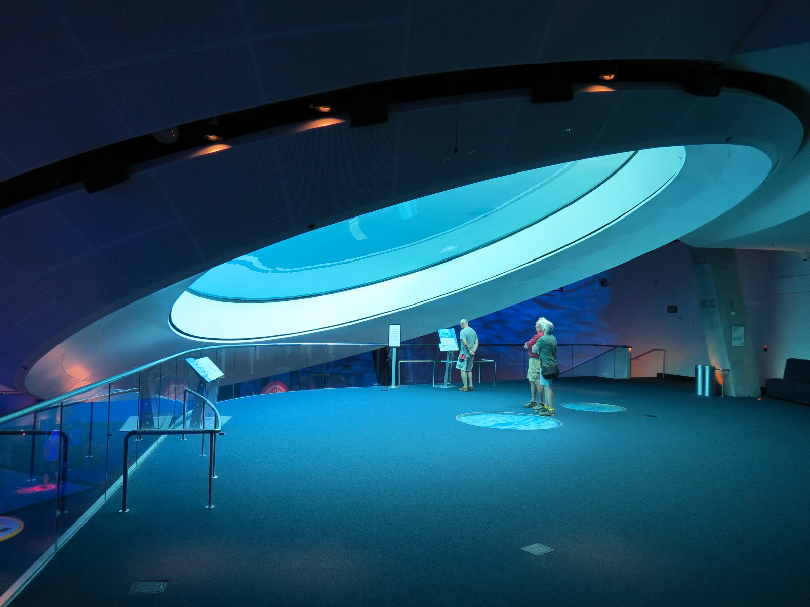 Aquarium - Gulf Stream Exhibit - The Deep Level - Oculus