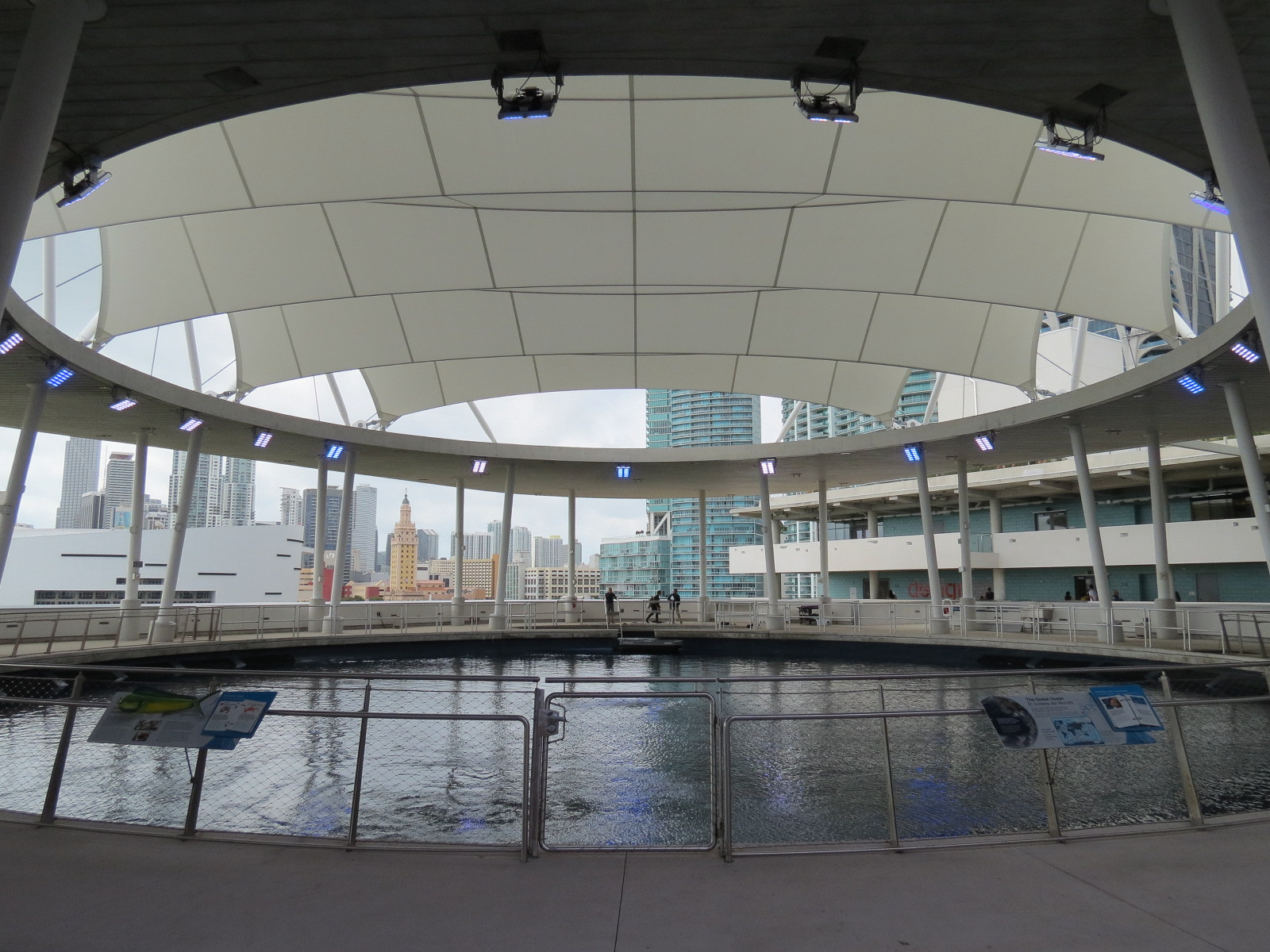 Aquarium - Gulf Stream Exhibit - Vista Level