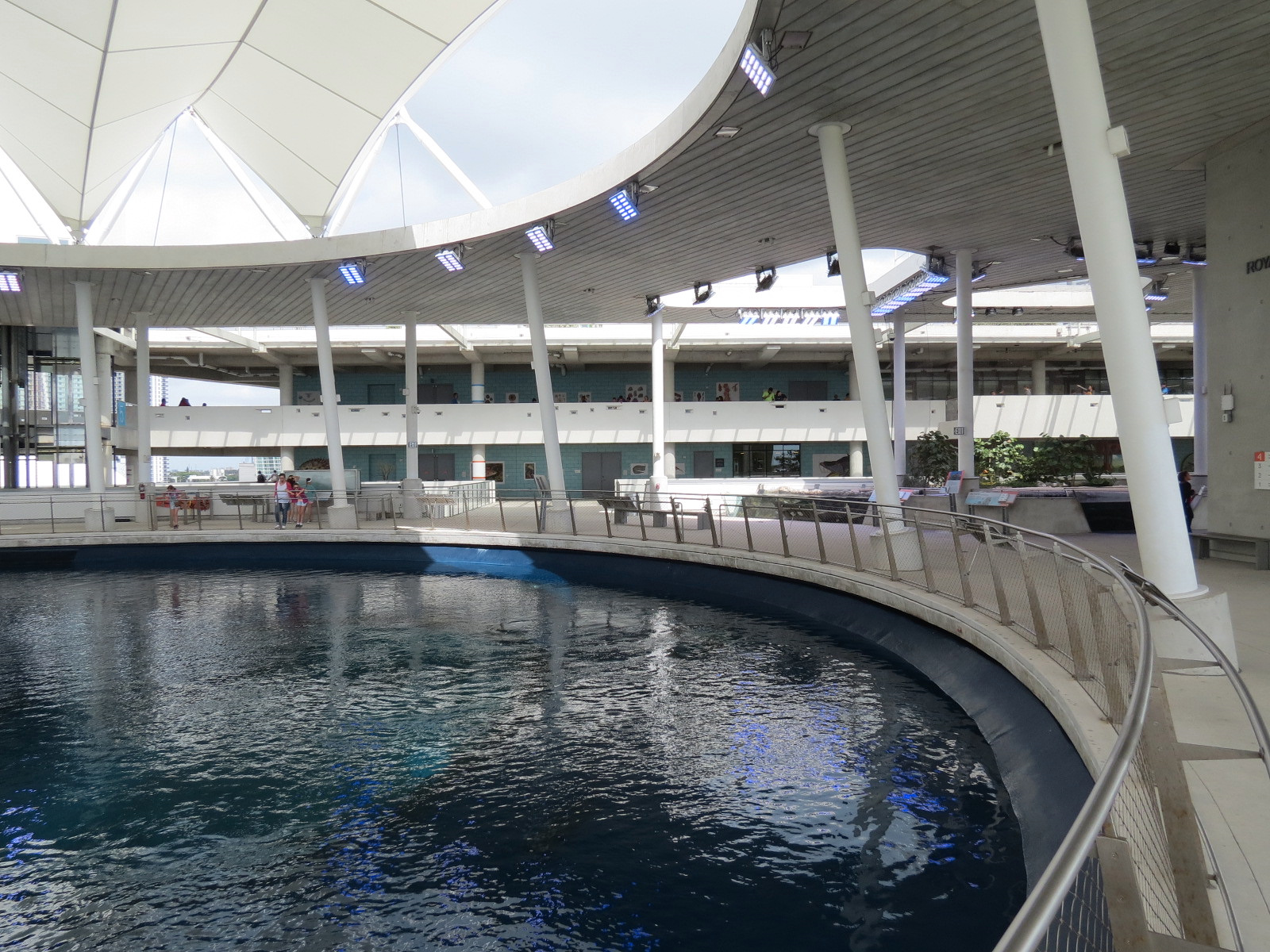 Aquarium - Gulf Stream Exhibit - Vista Level