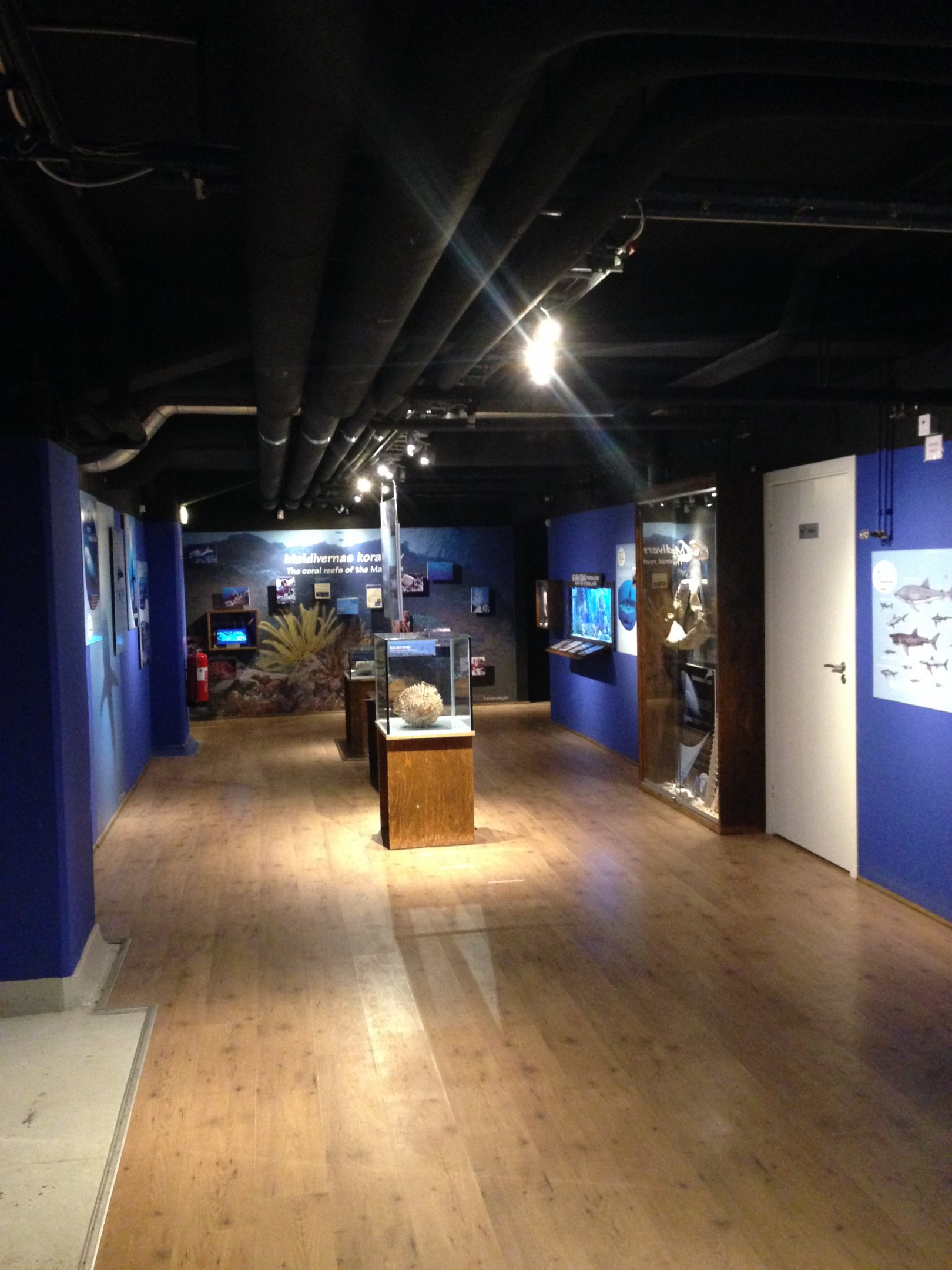 Aquarium hall 2016