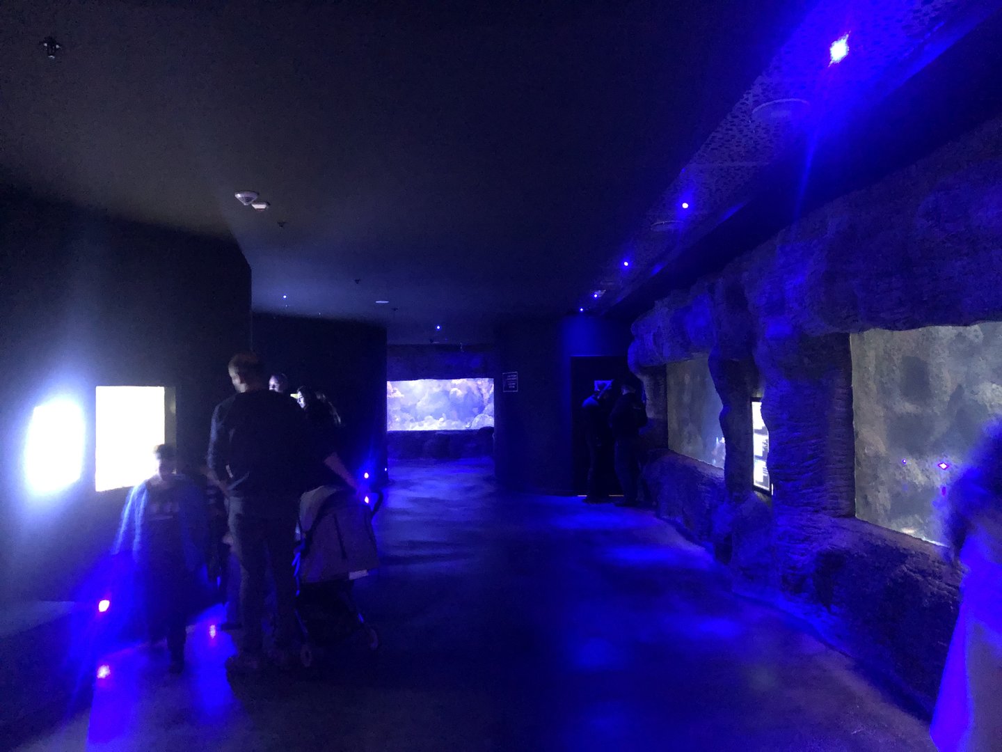 Aquarium Hallway at Aqua Vega