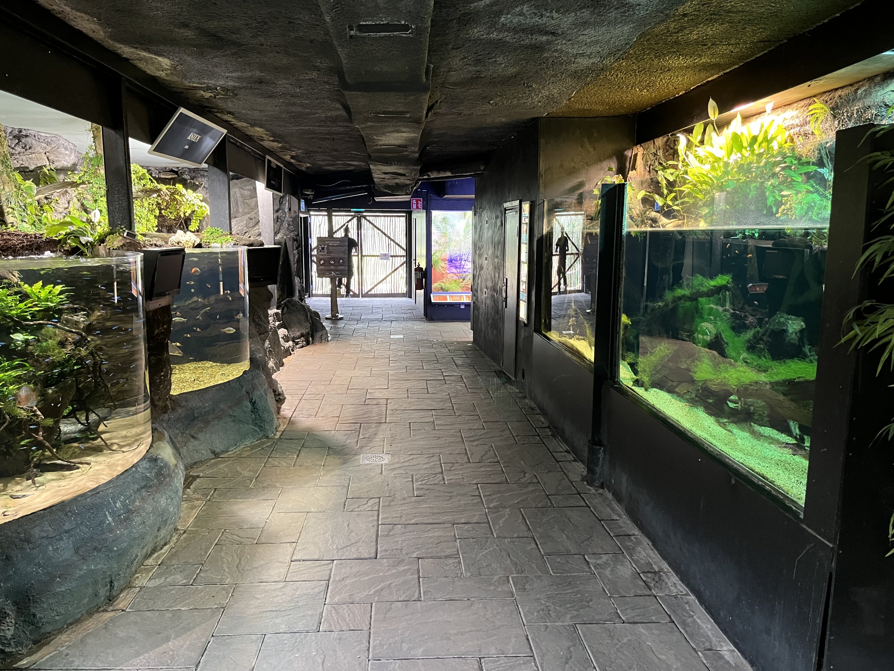 Aquarium Hallway