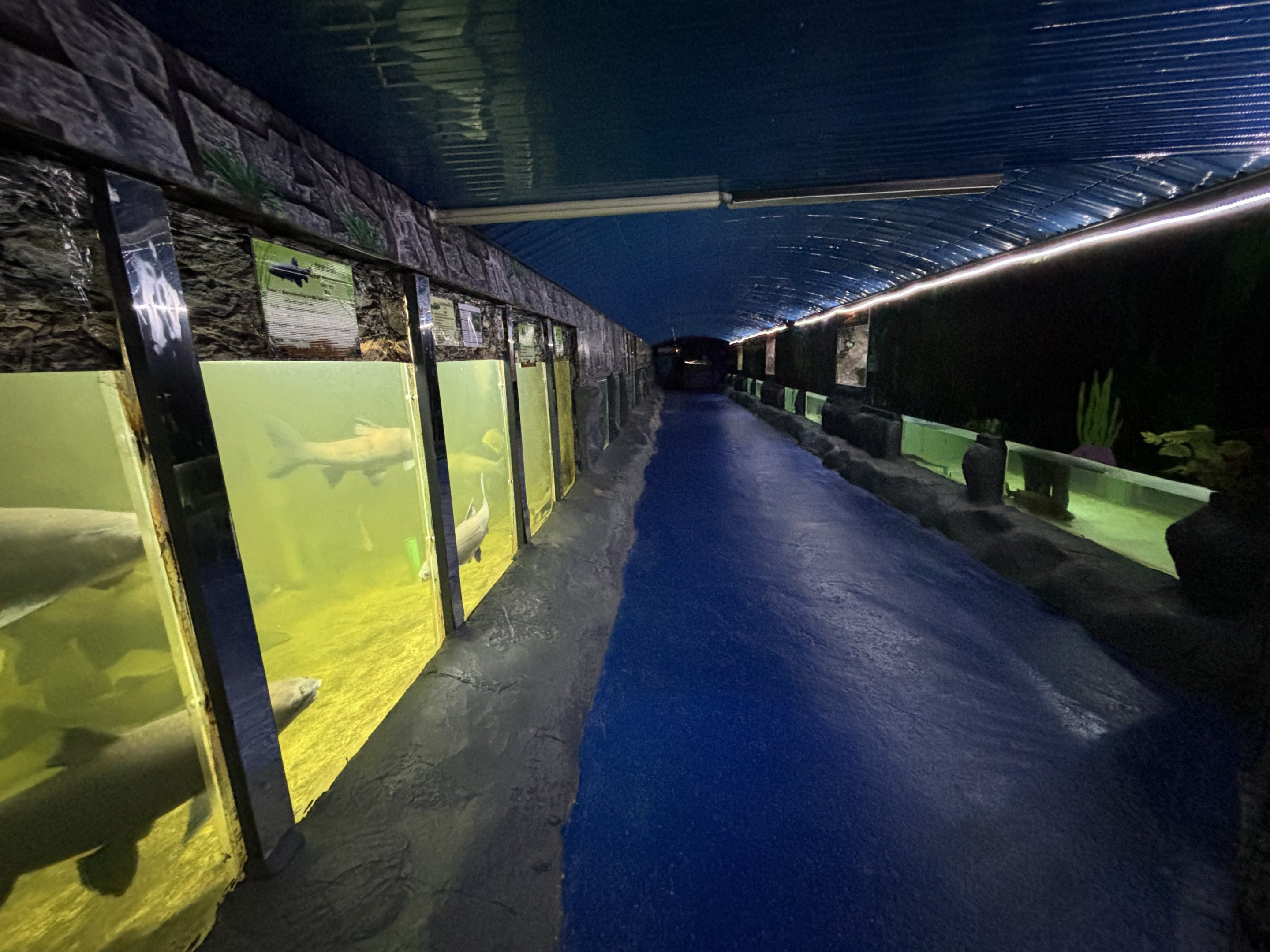 Aquarium Hallway