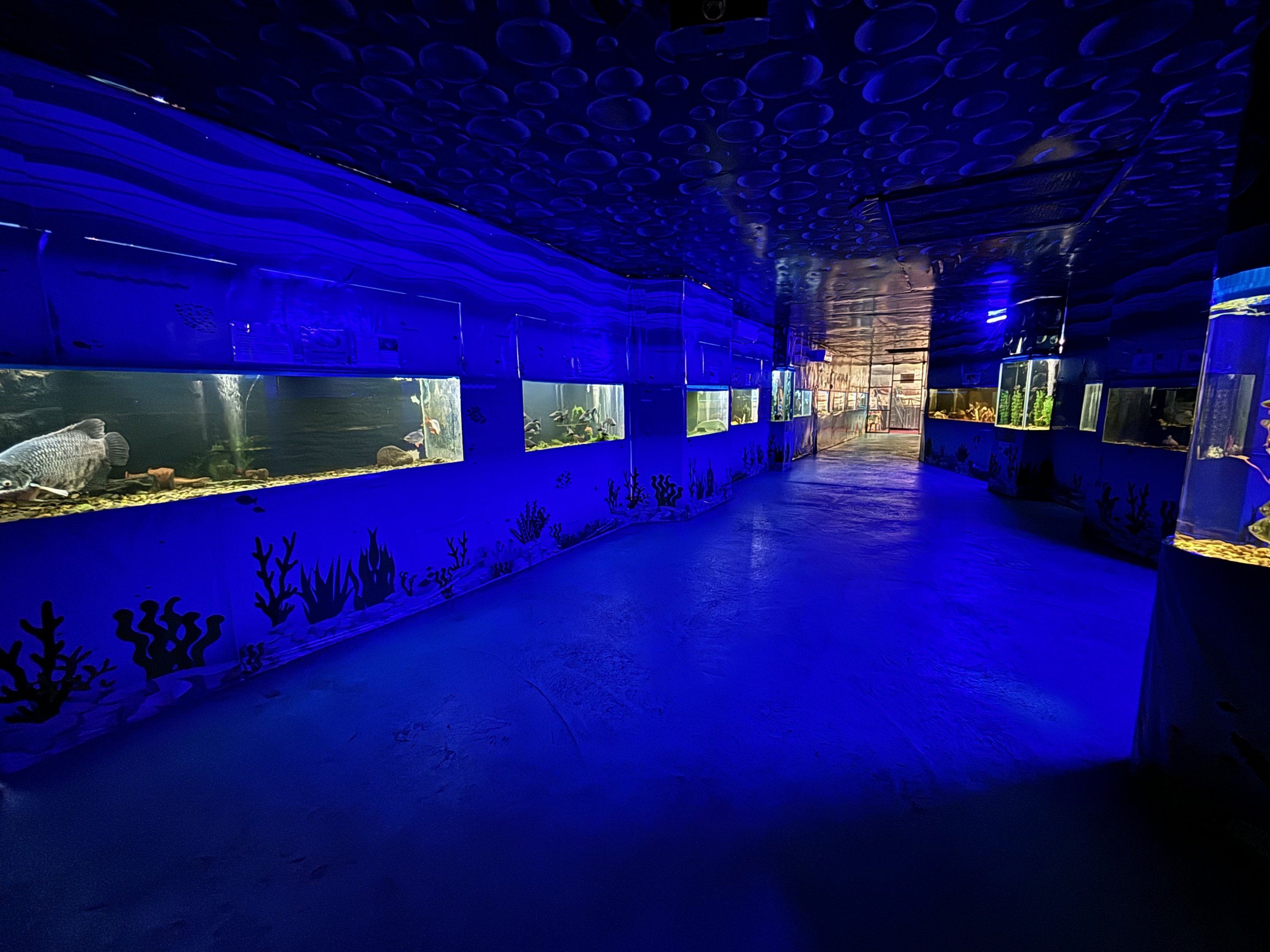 Aquarium Hallway