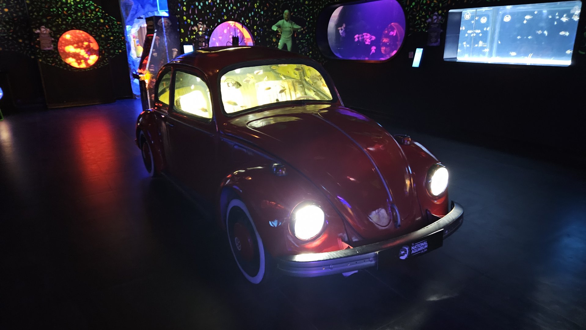 Aquarium in a beatle, The National Aquarium Abu Dhabi