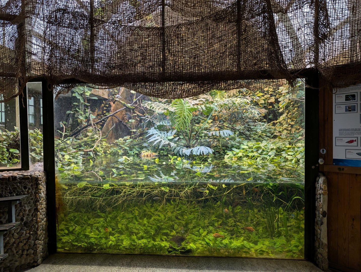 Aquarium in Australia House