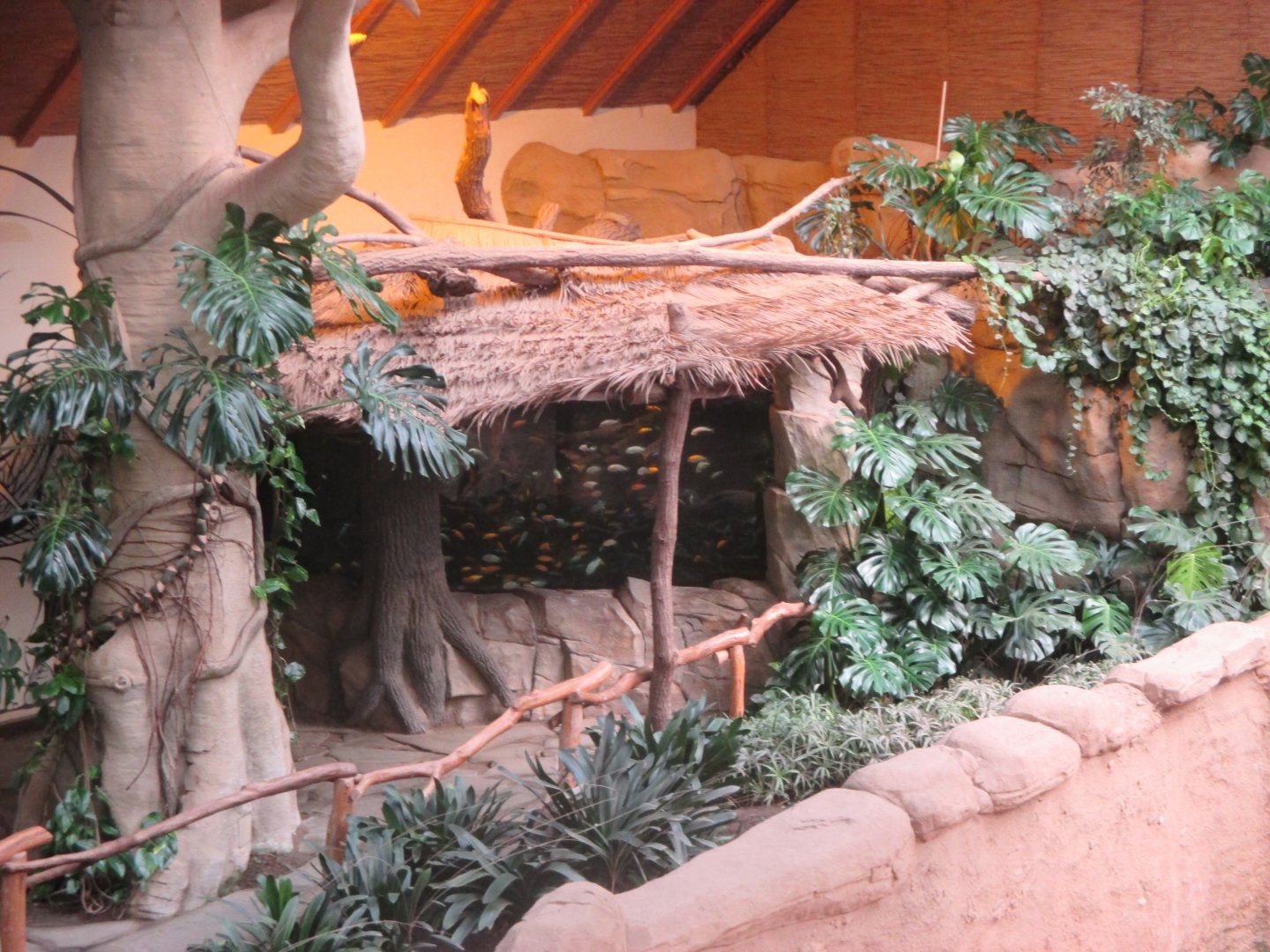 Aquarium in elephant house