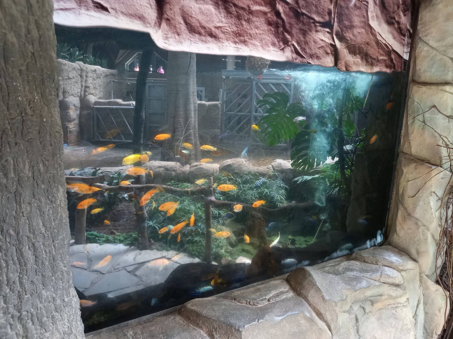 Aquarium in elephants house