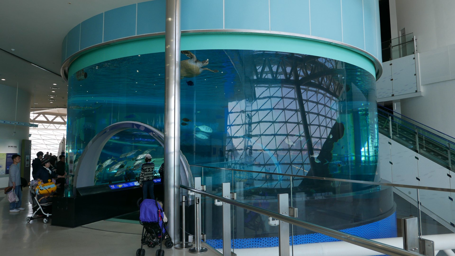 Aquarium in National Maritime Museum