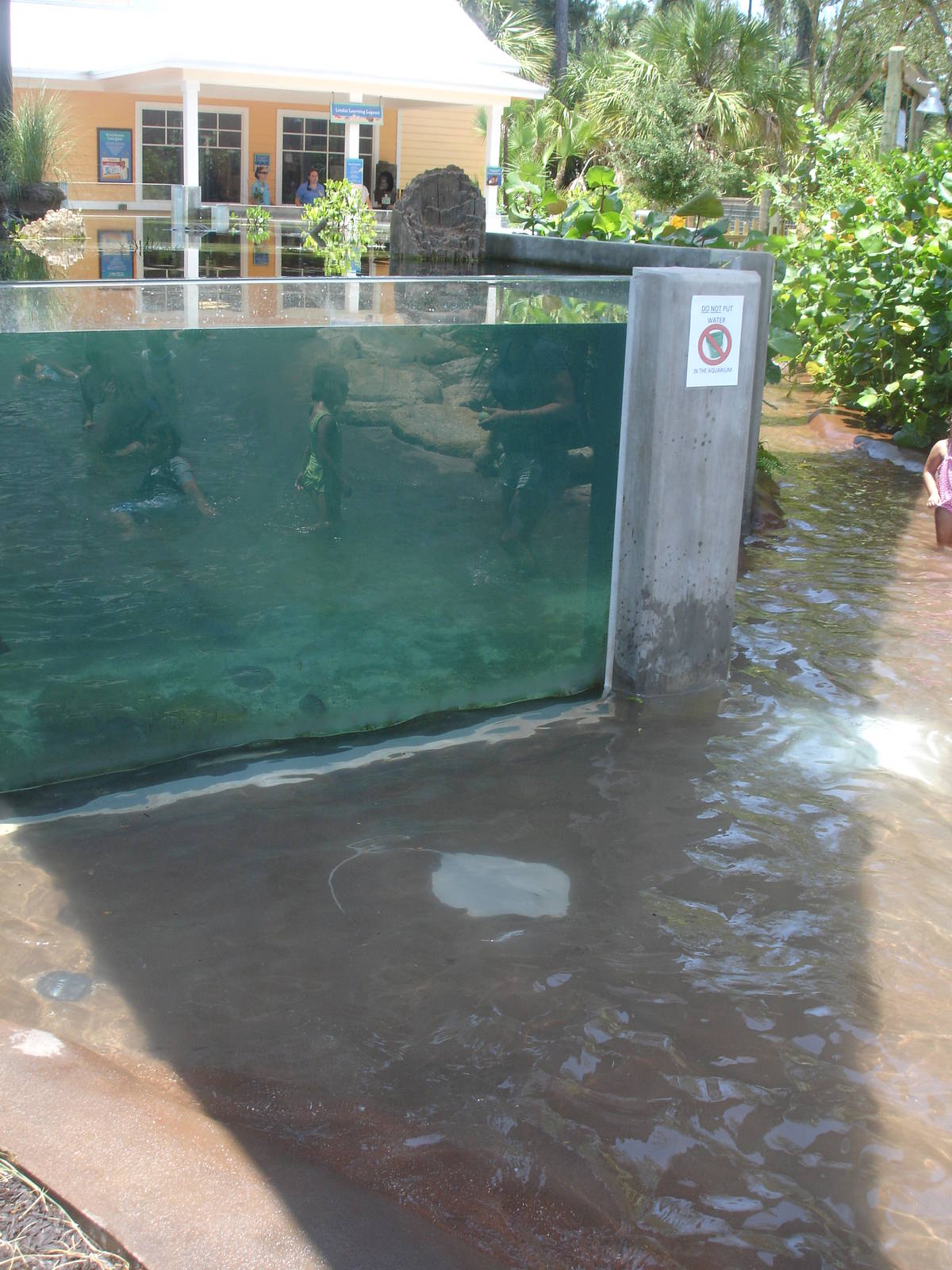 aquarium in play area