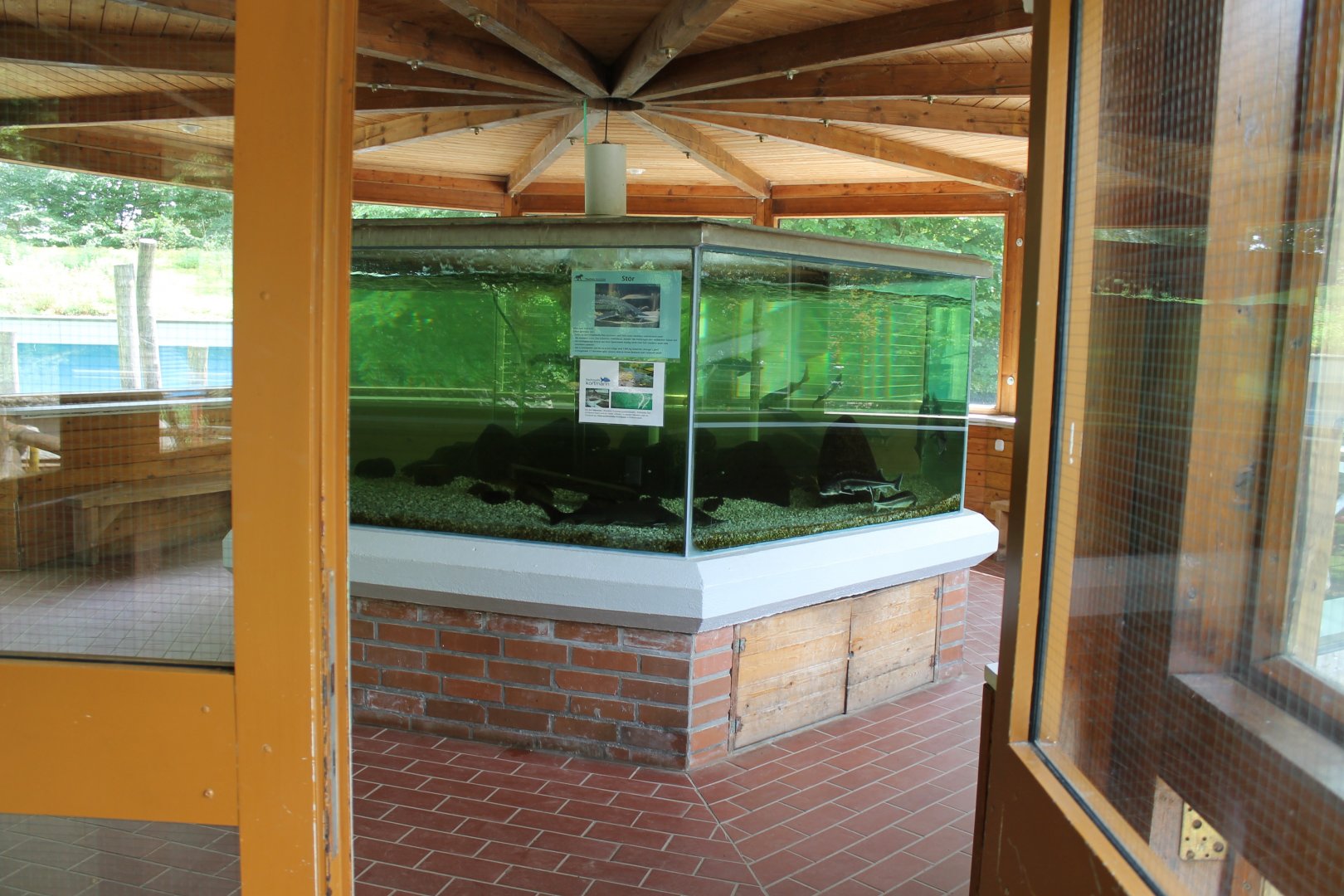 Aquarium in the bear-house