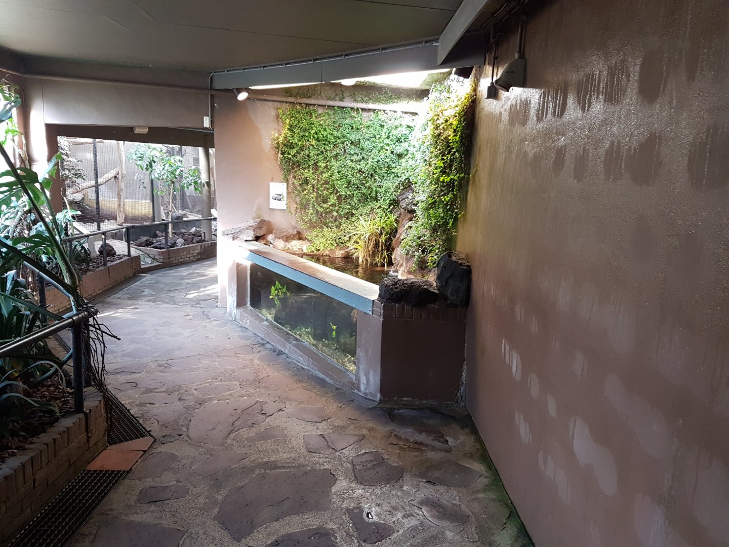 Aquarium in the Bird-house