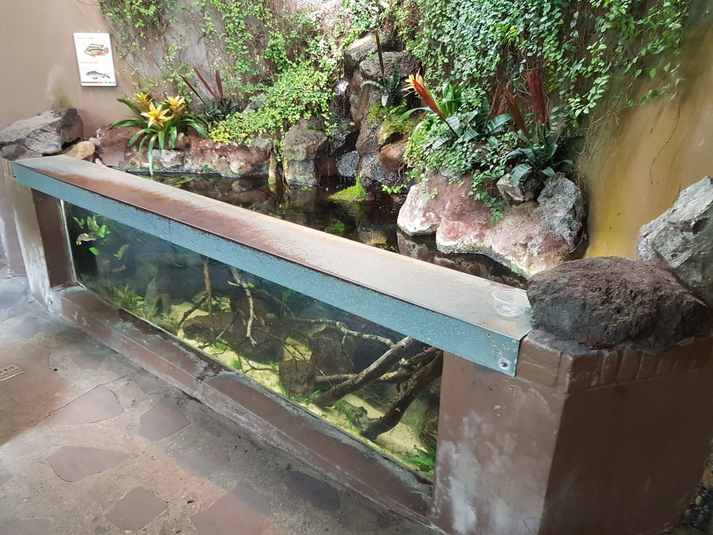 Aquarium in the Bird-house