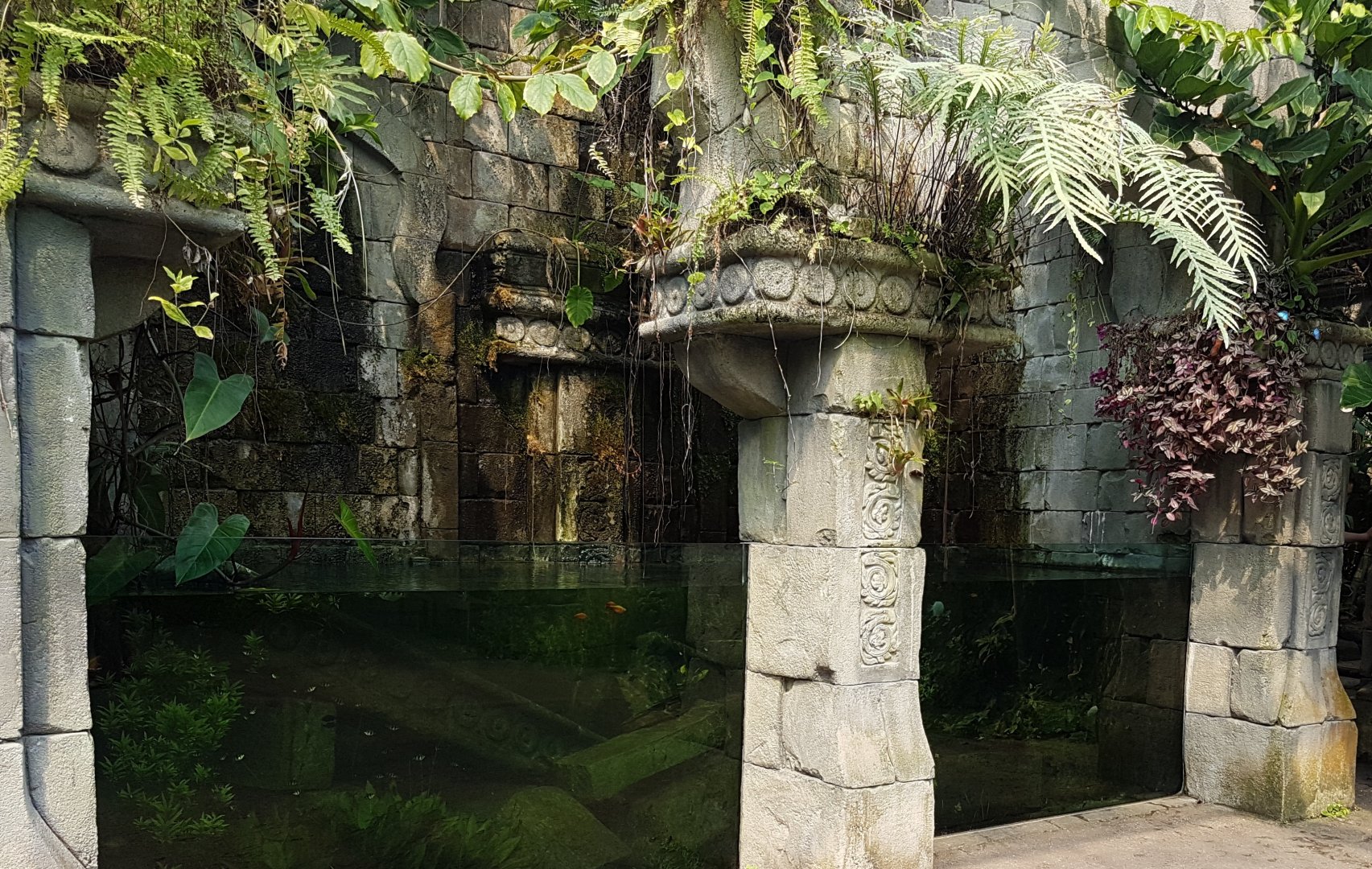 Aquarium in the Butterfly-house