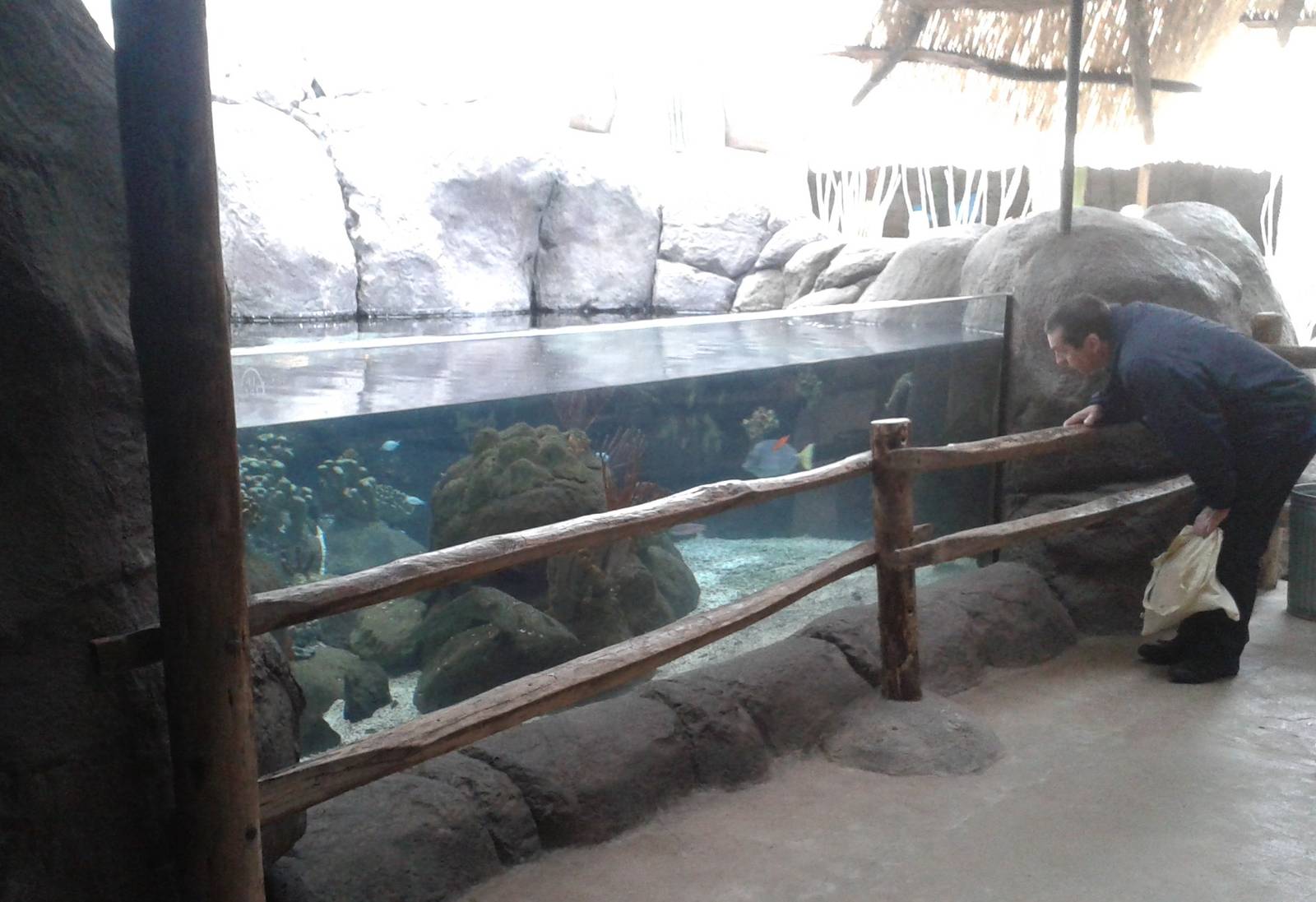 Aquarium in the Ocean