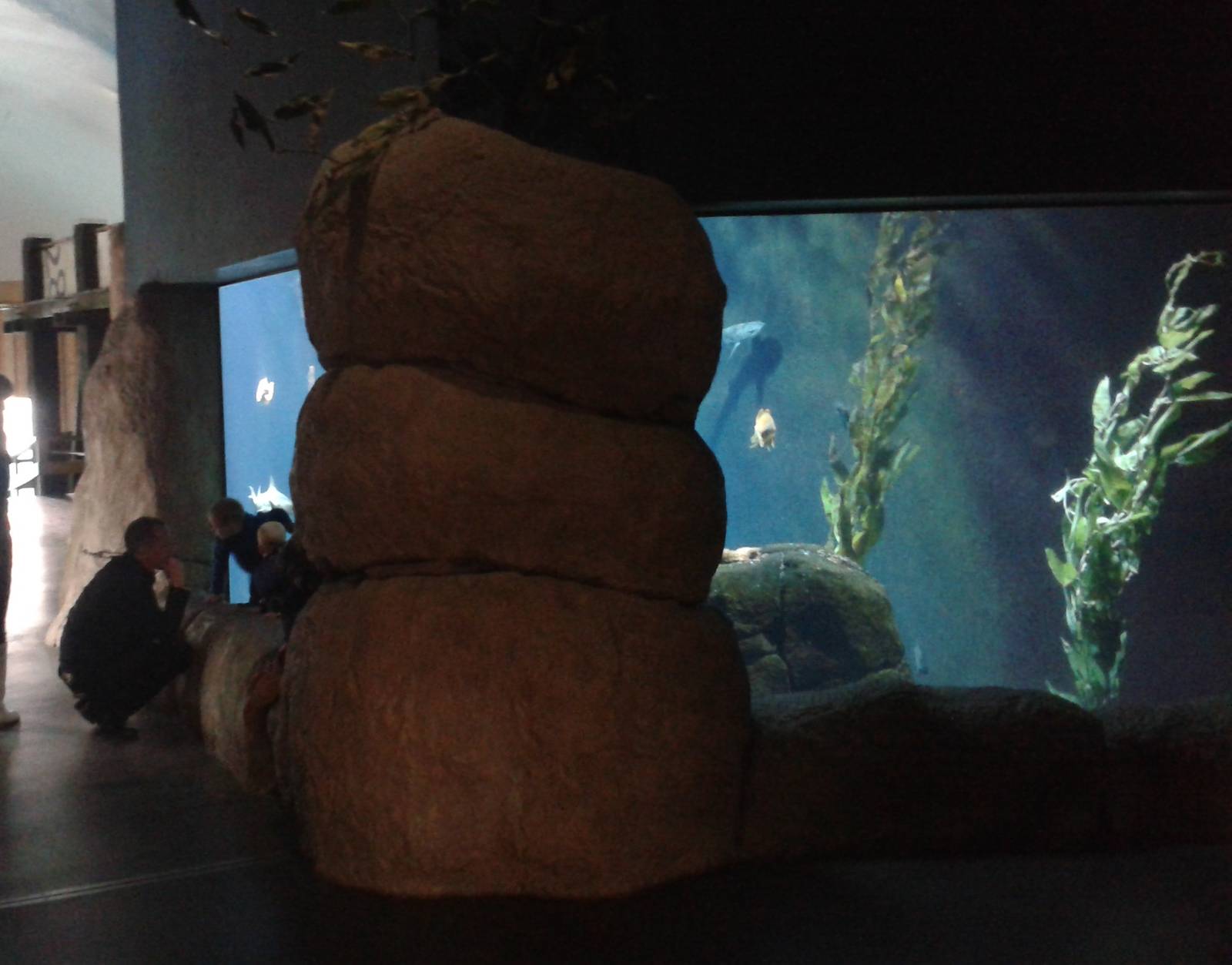 Aquarium in the Ocean