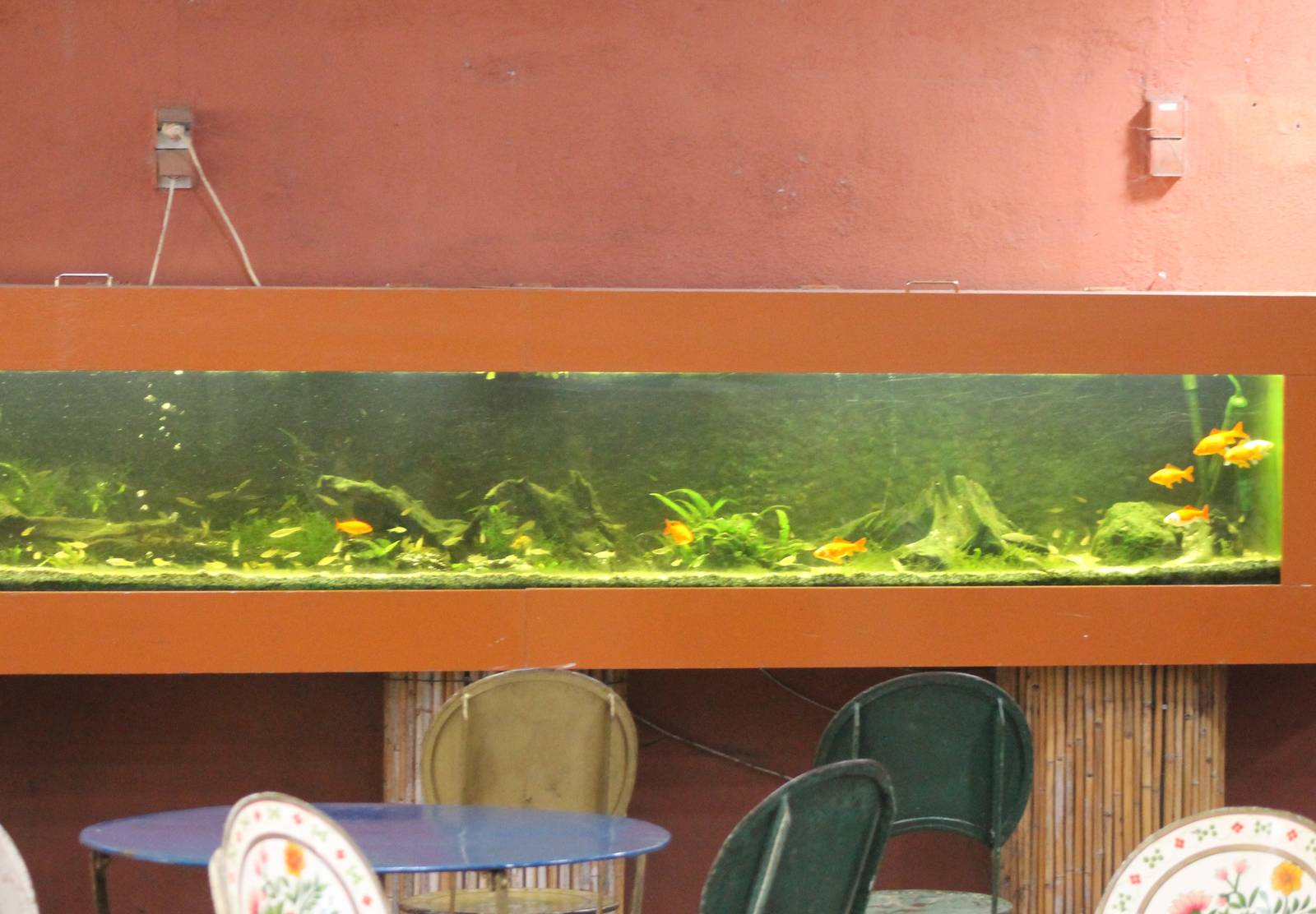 Aquarium in the restaurant