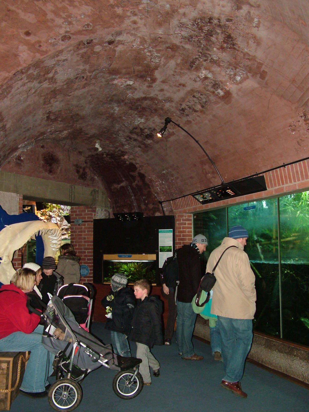 Aquarium interior at Bristol 19/12/09