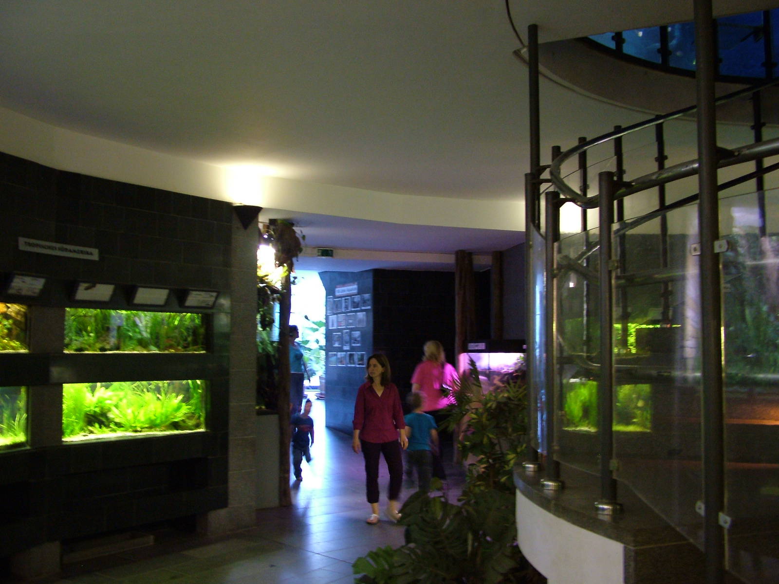 Aquarium Interior at Leipzig, 02/09/11